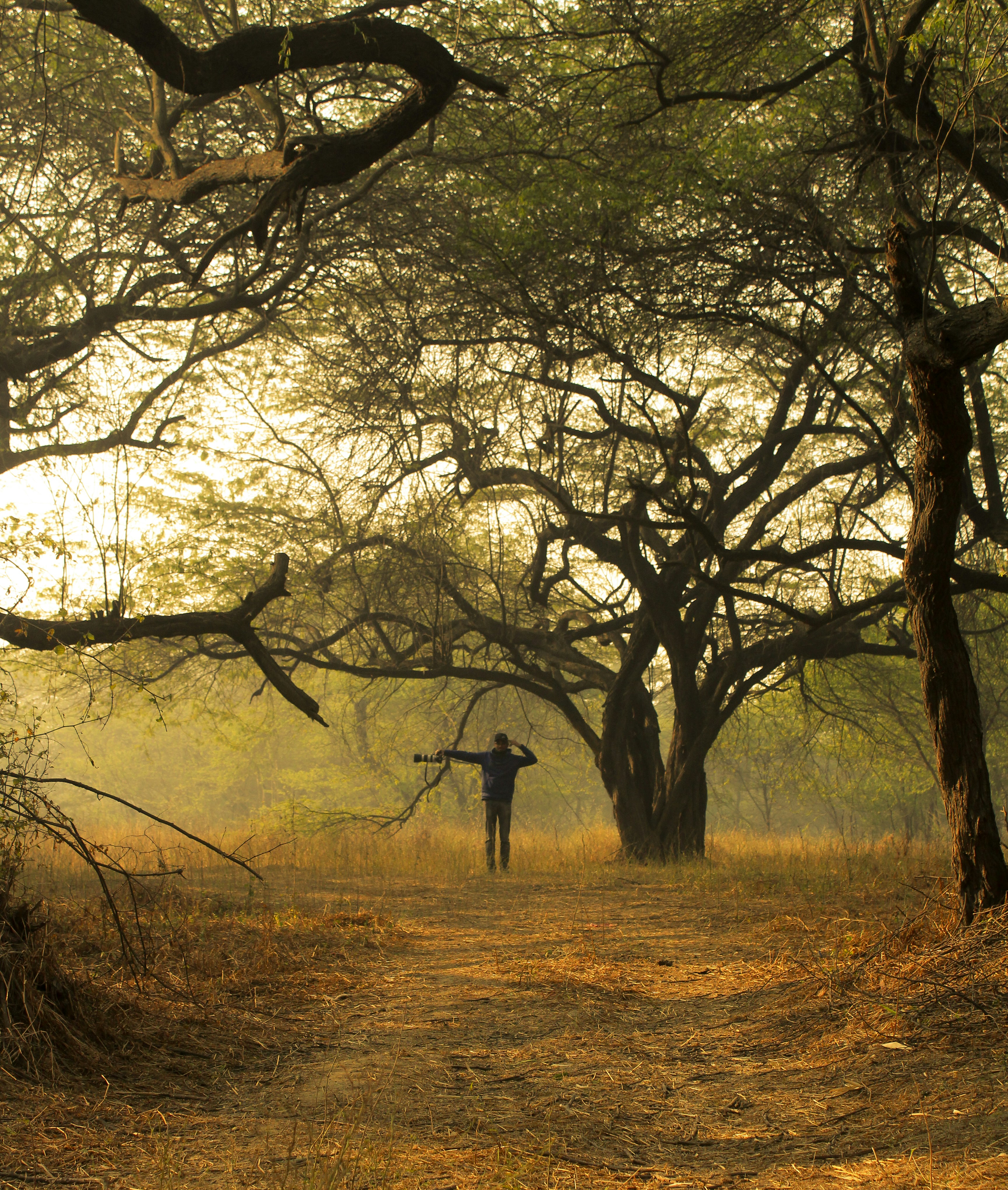 Photo by kuldeepsharma7001