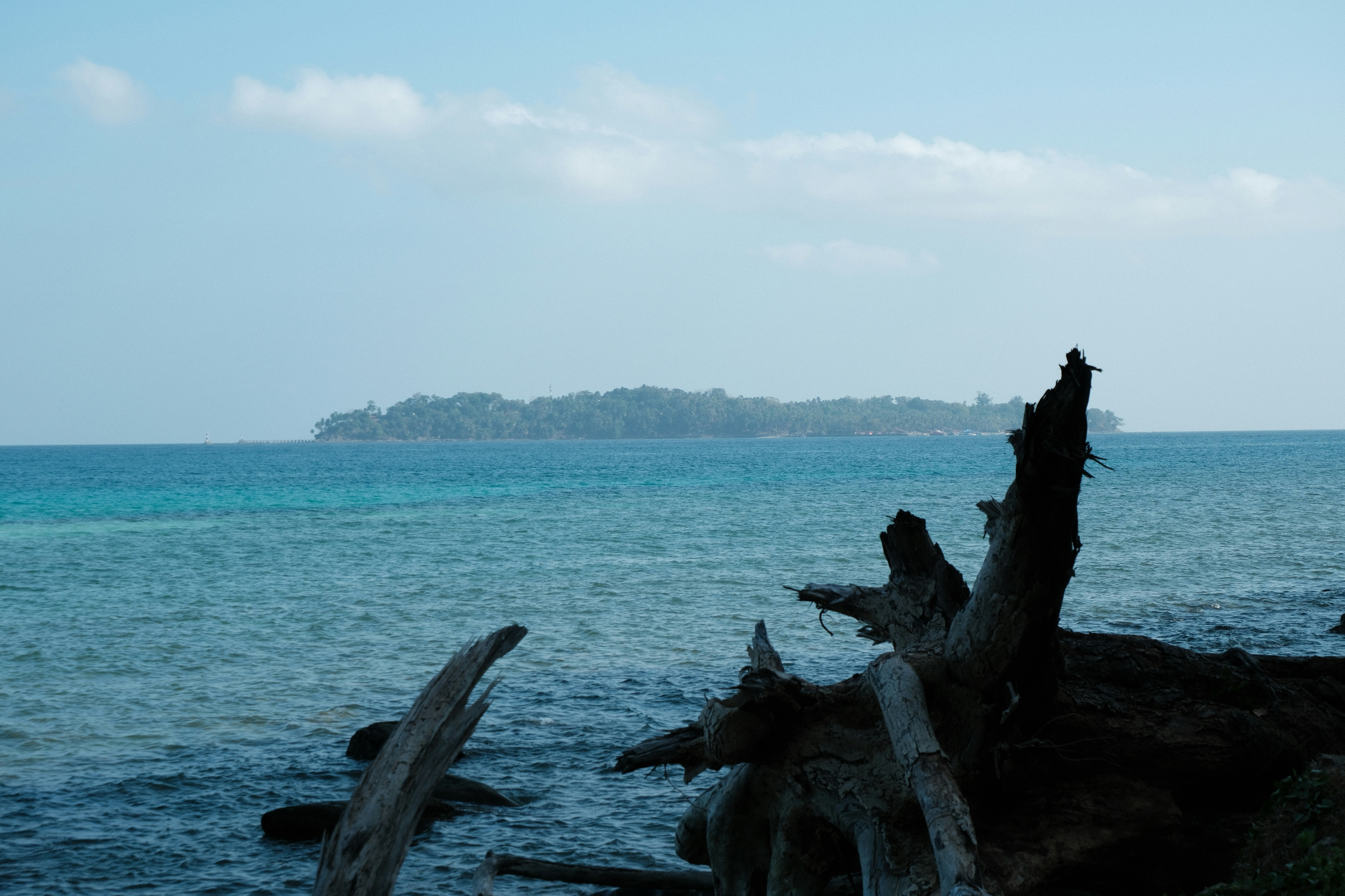 Photo by rkdotdesign