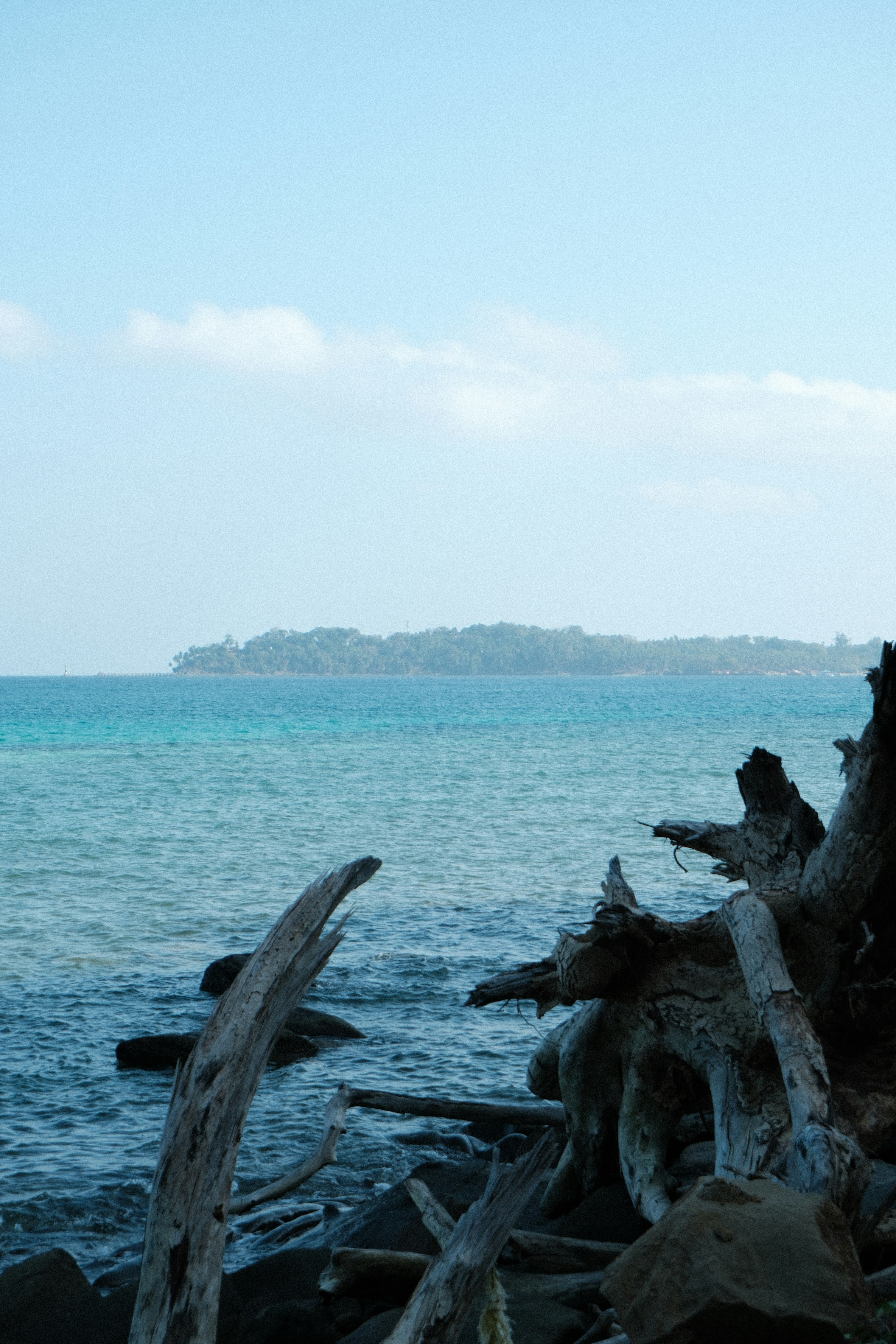 Photo by rkdotdesign