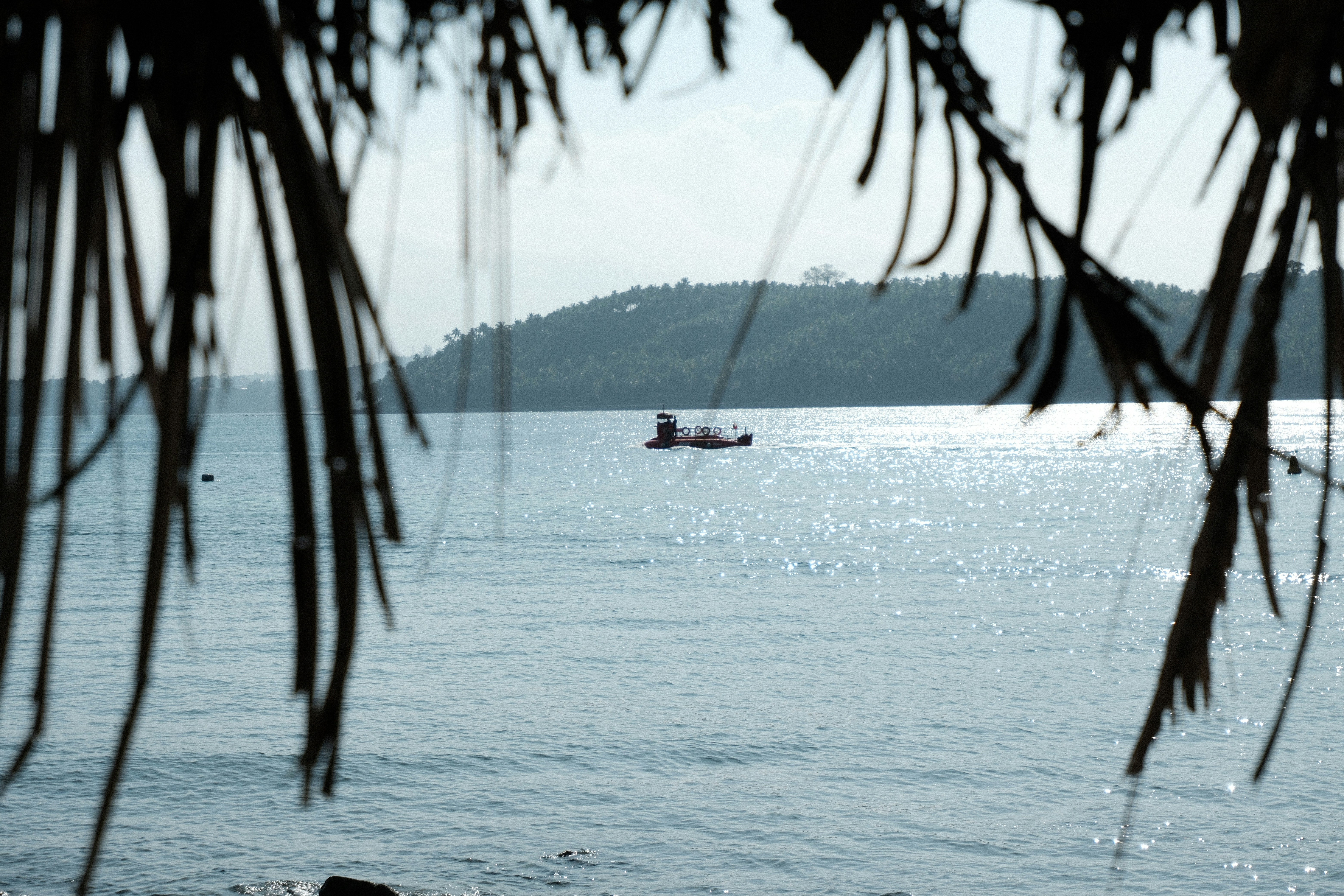 Photo by rkdotdesign