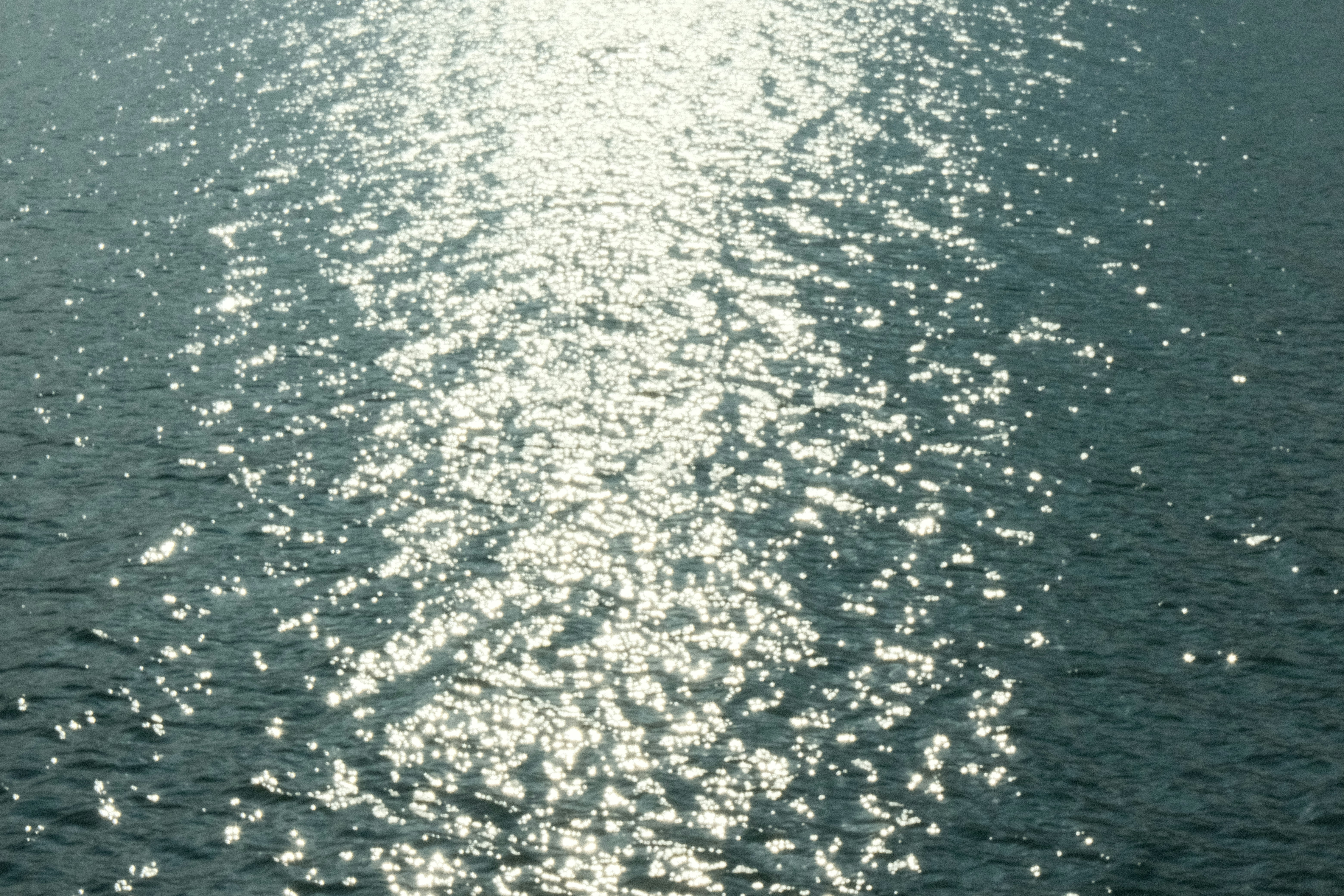 Photo by rkdotdesign