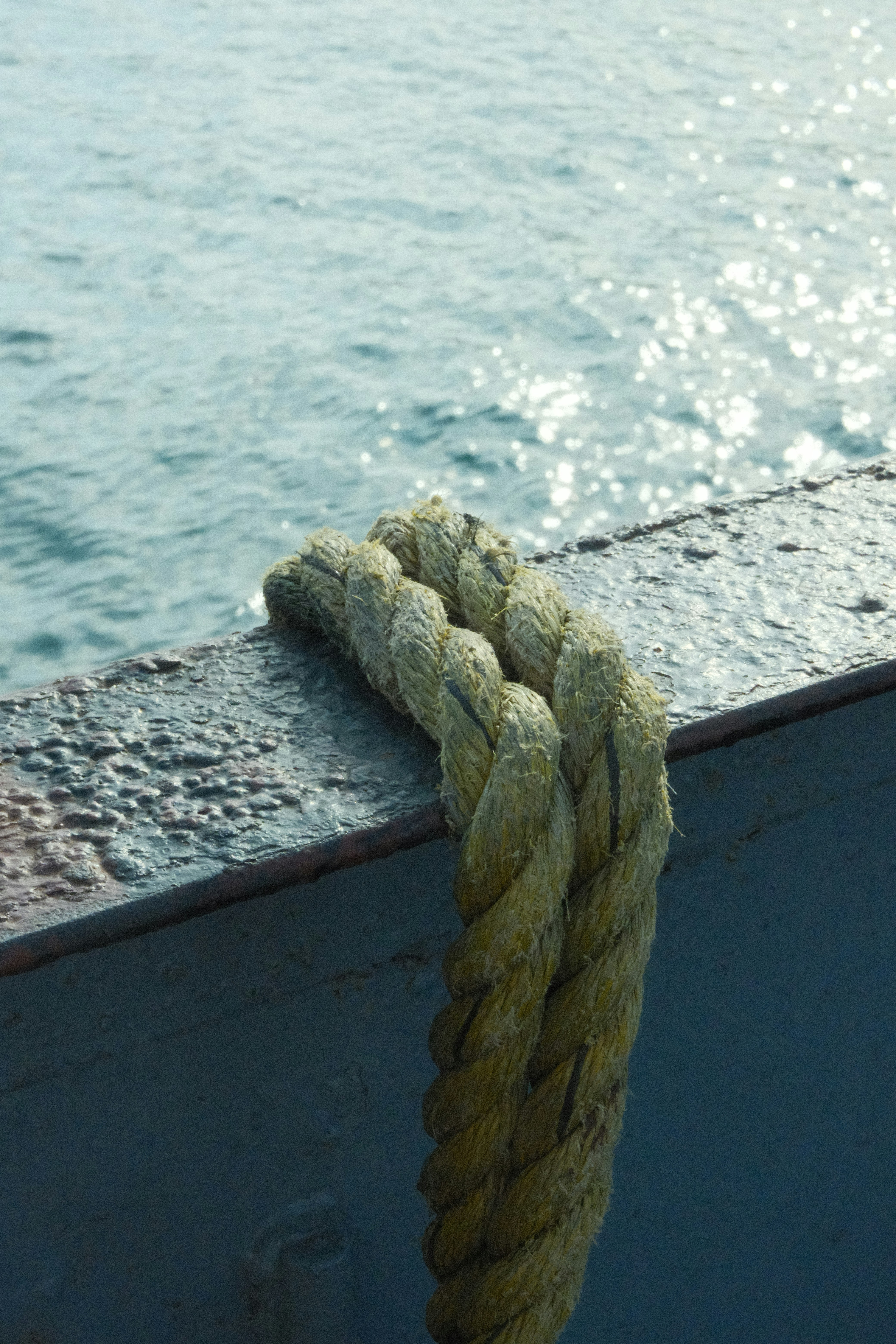 Photo by rkdotdesign