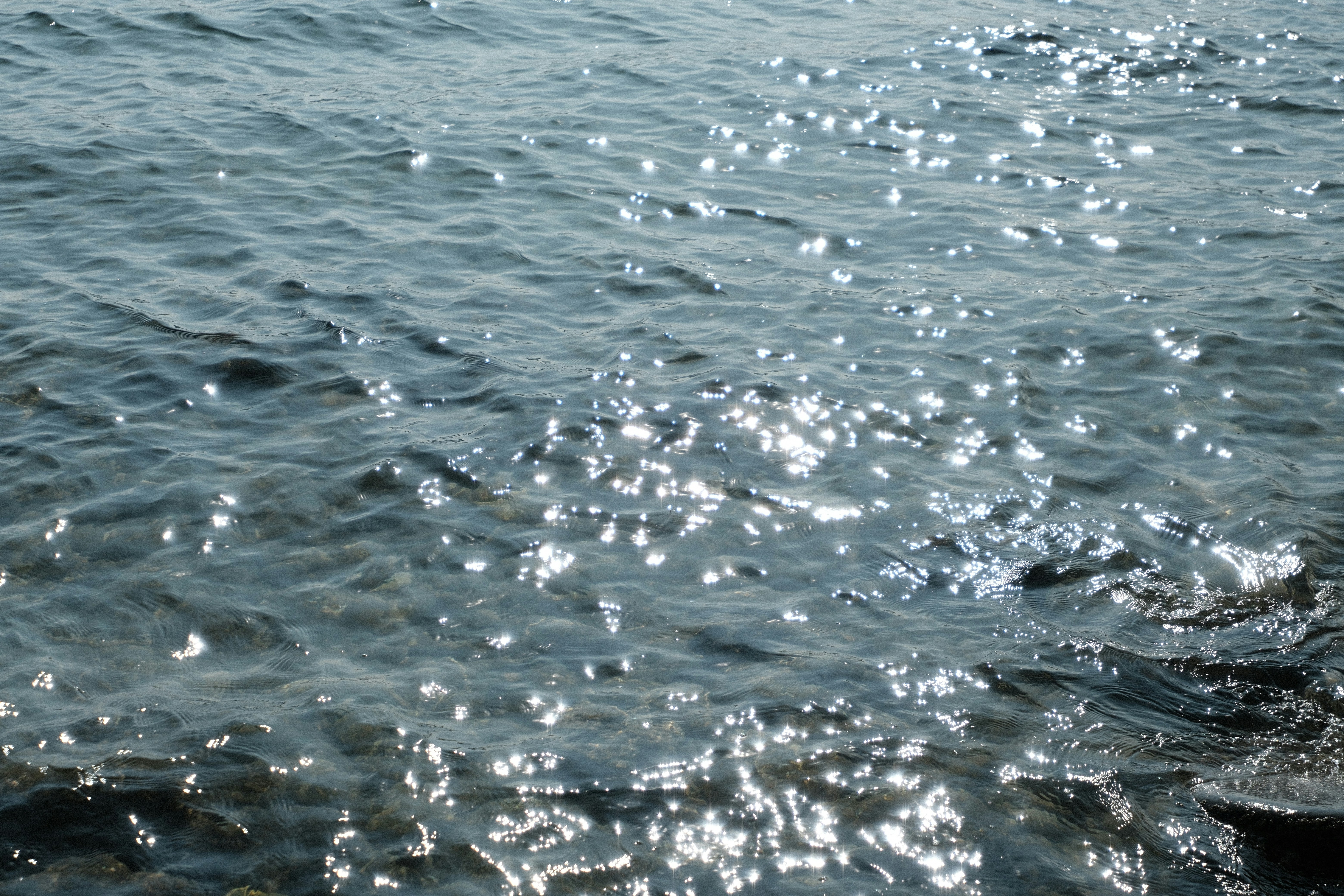 Photo by rkdotdesign