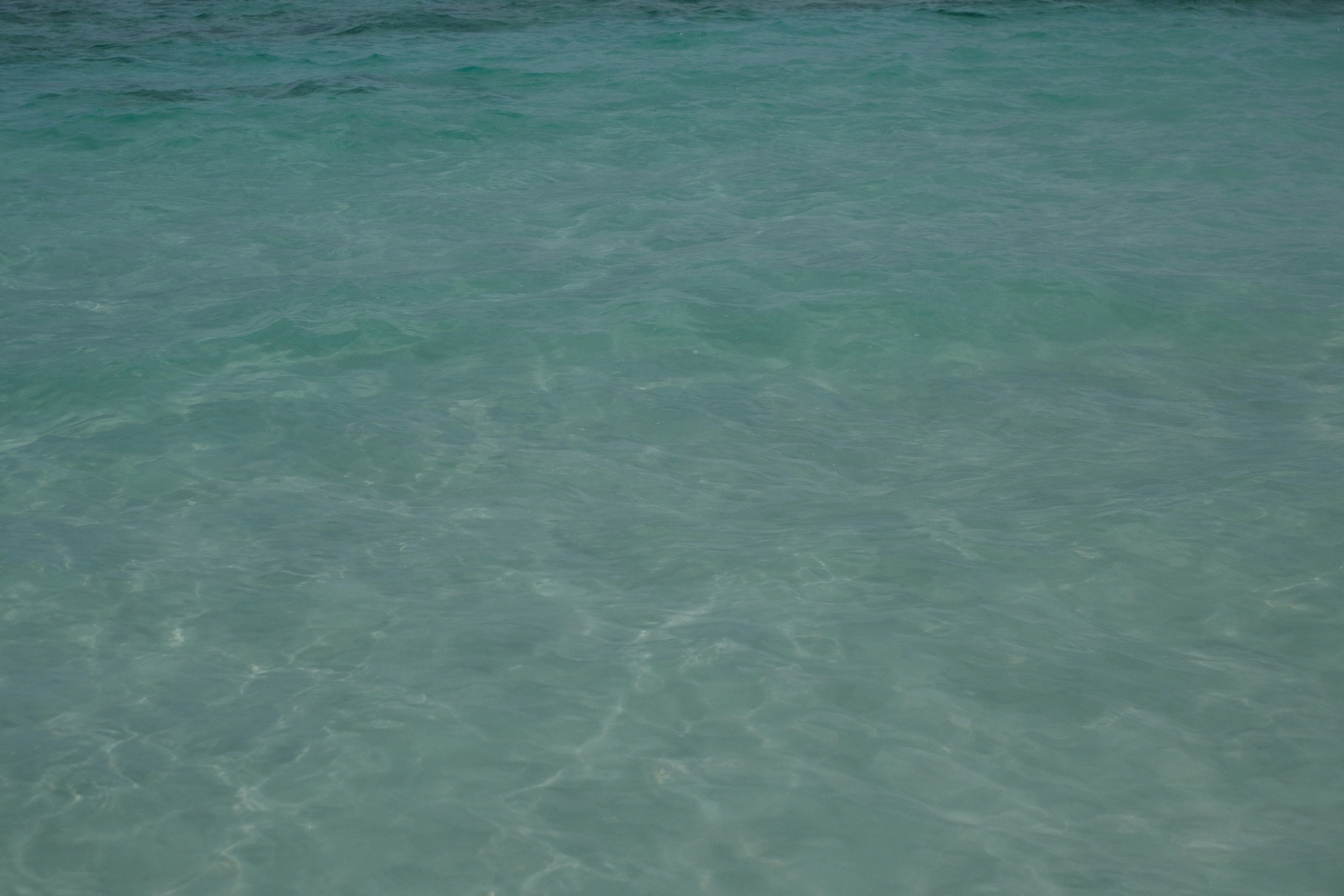 Photo by rkdotdesign