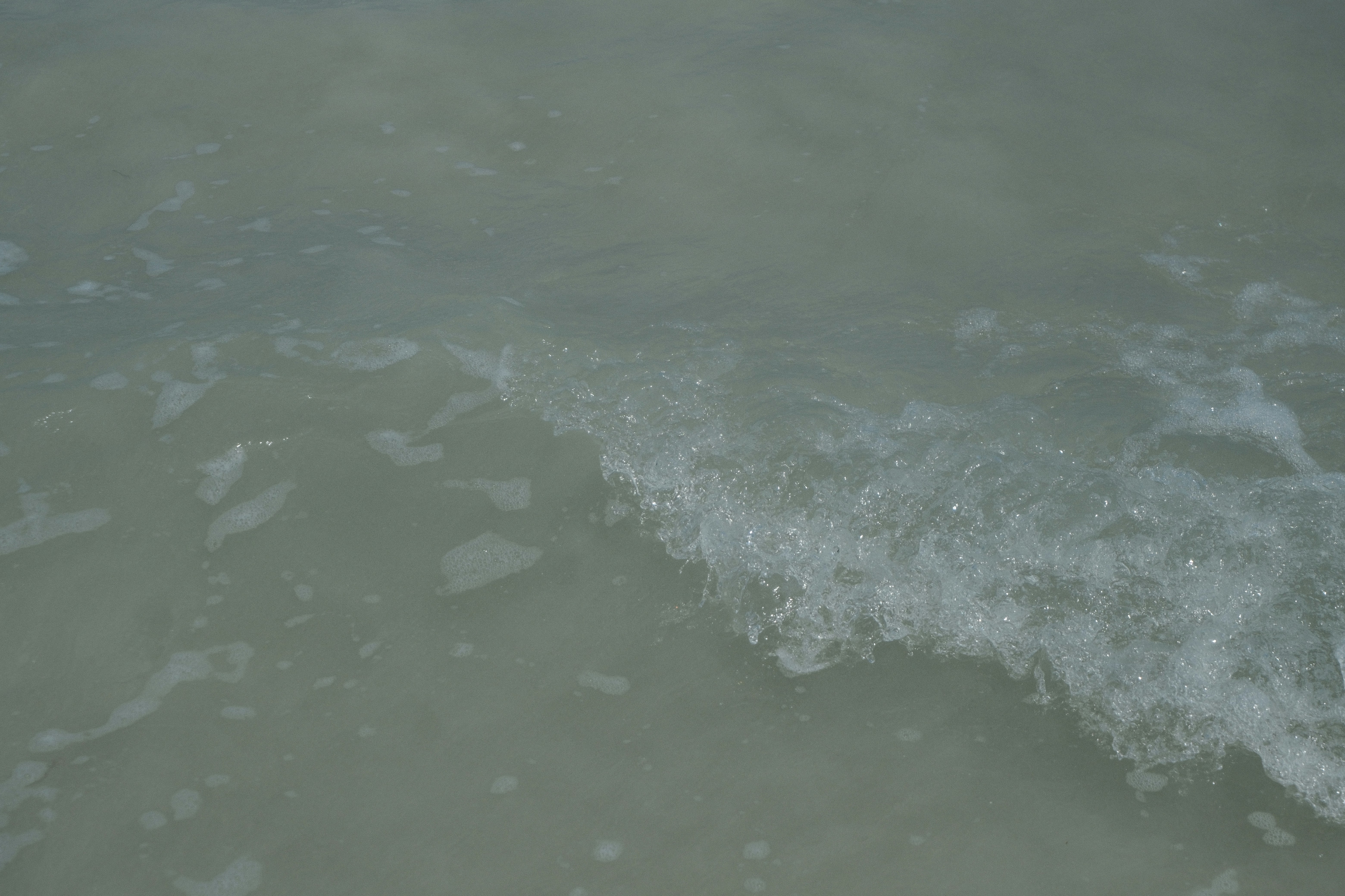 Photo by rkdotdesign