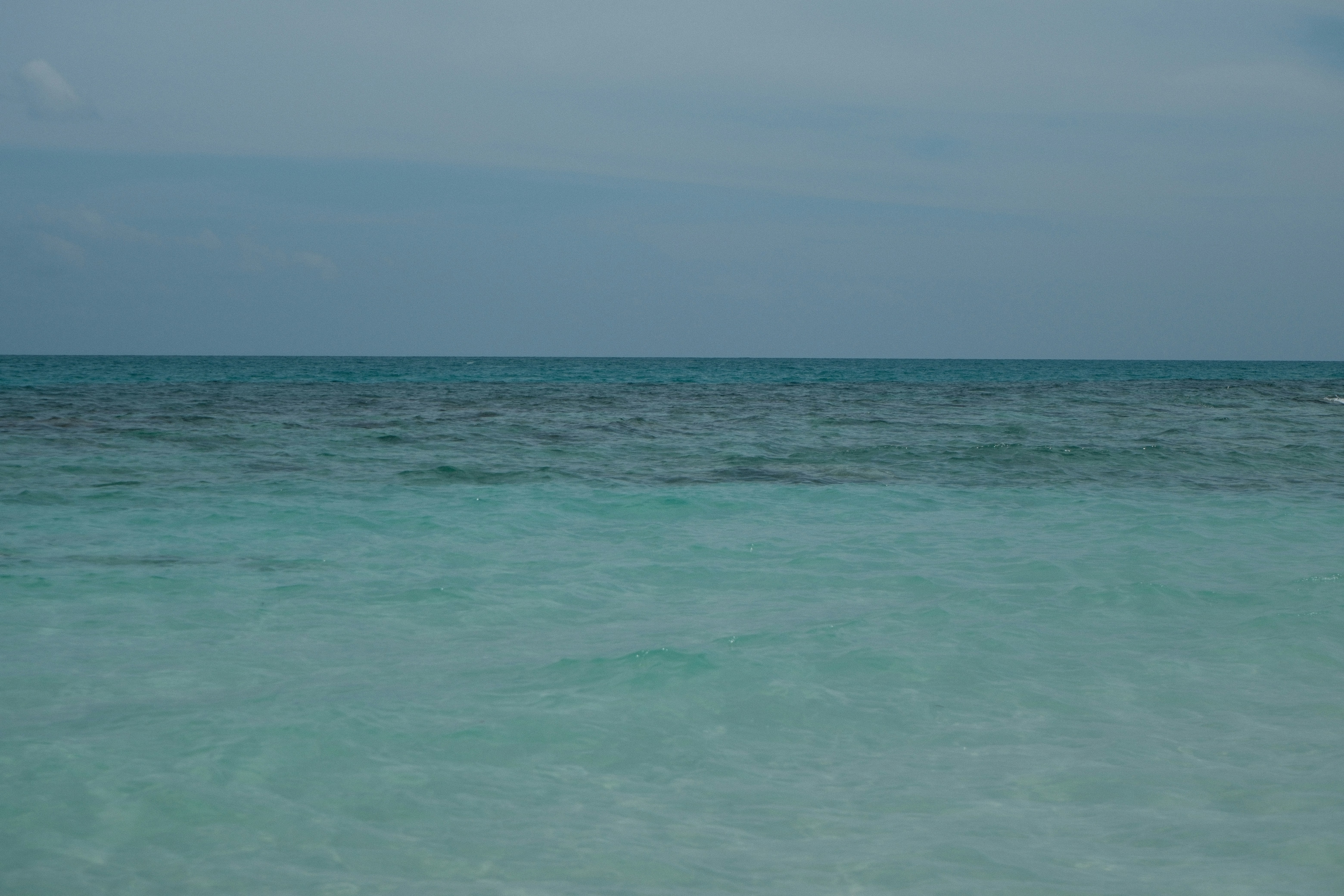 Photo by rkdotdesign