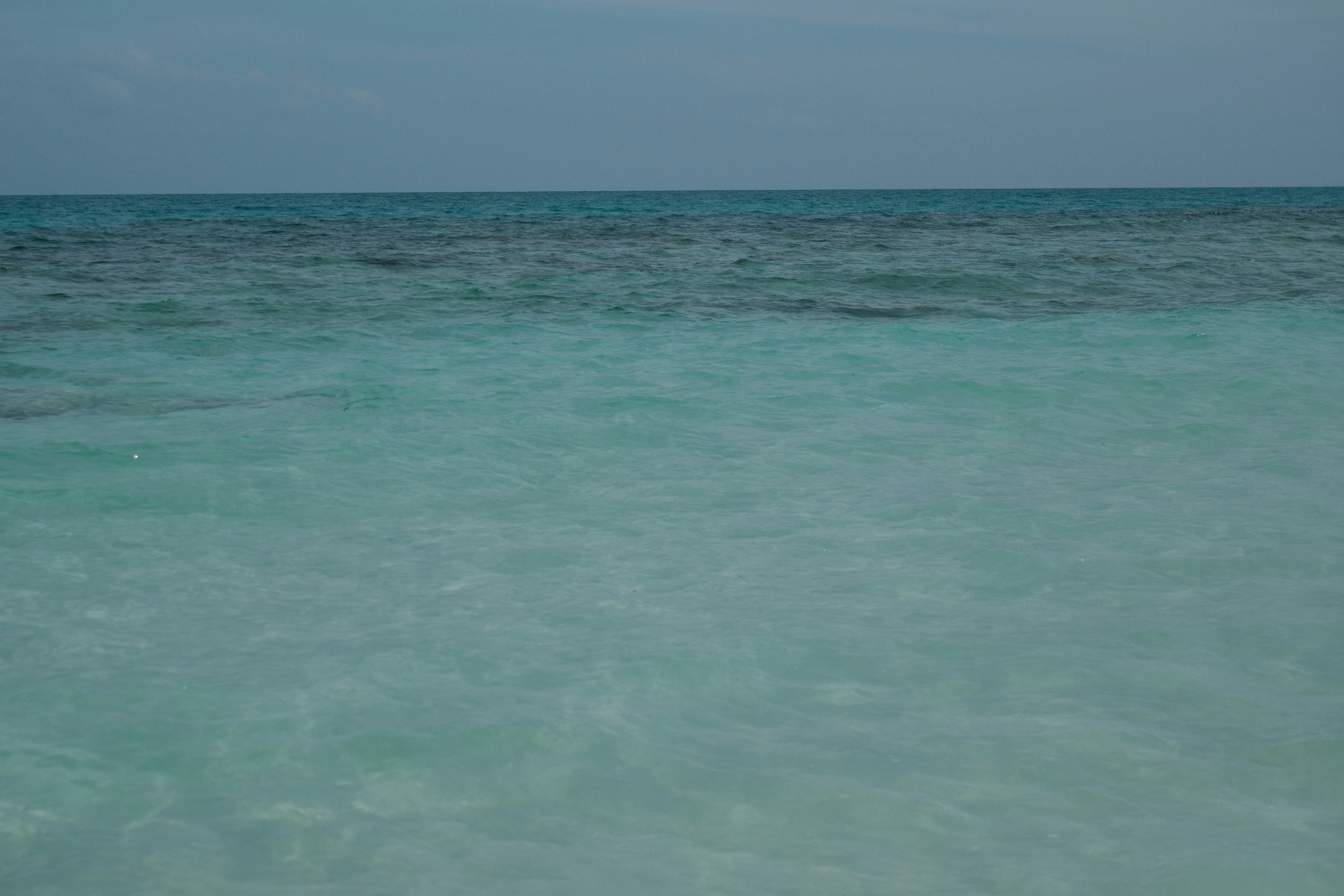 Photo by rkdotdesign