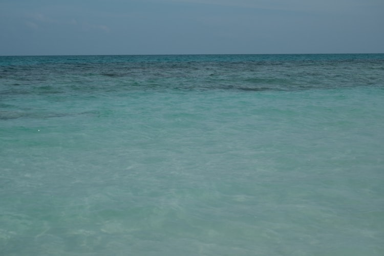 Dive or chill choice day