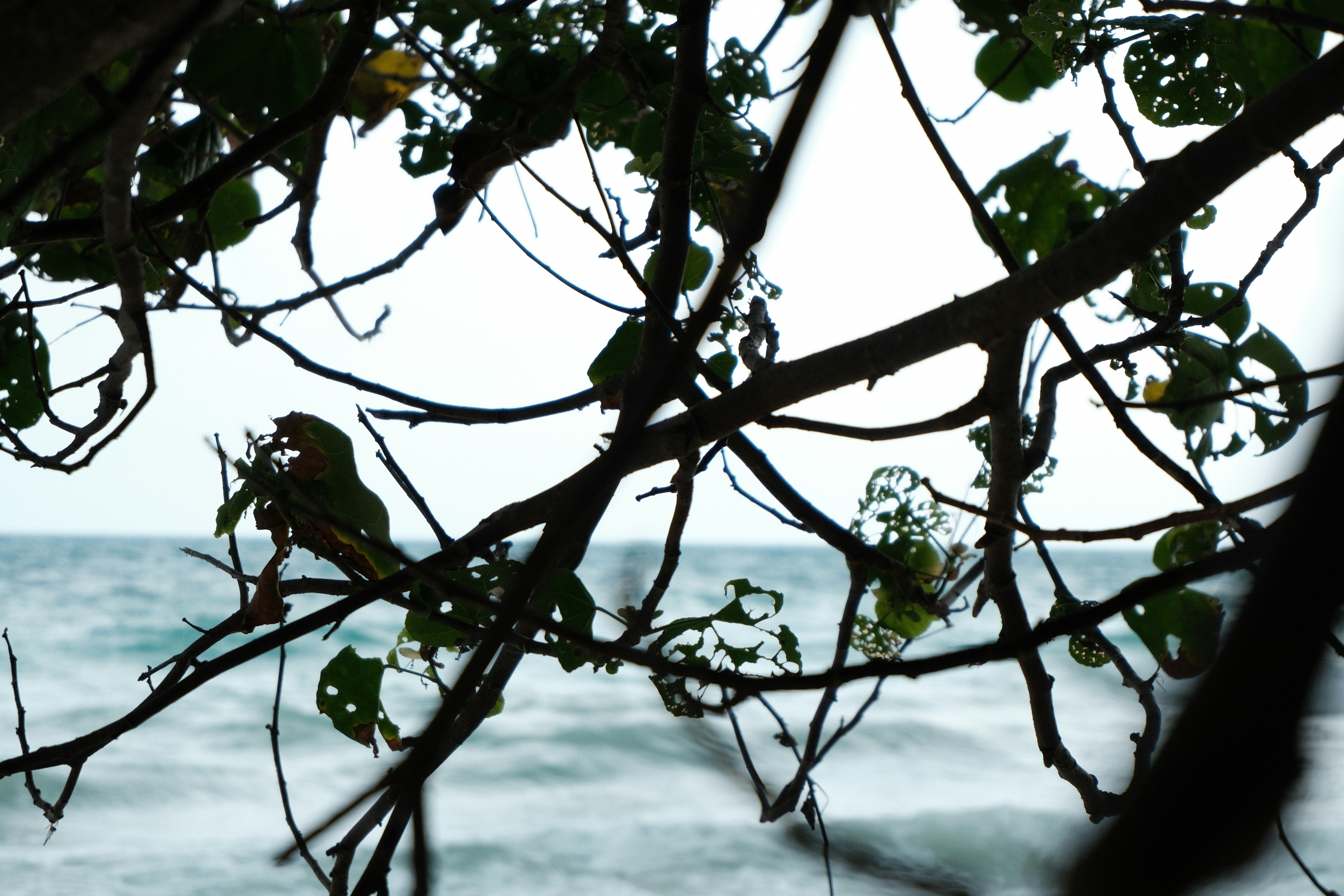 Photo by rkdotdesign