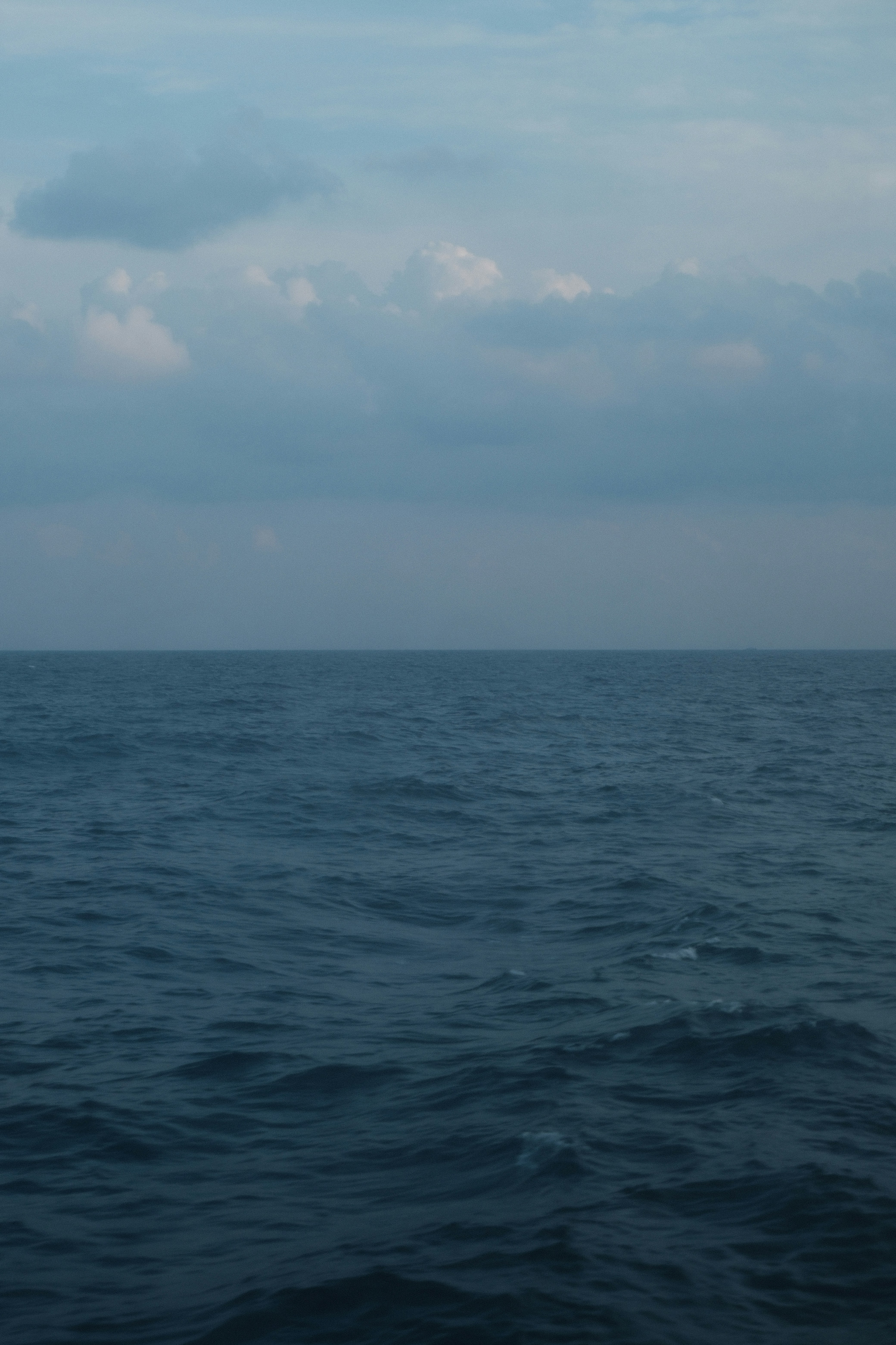 Photo by rkdotdesign