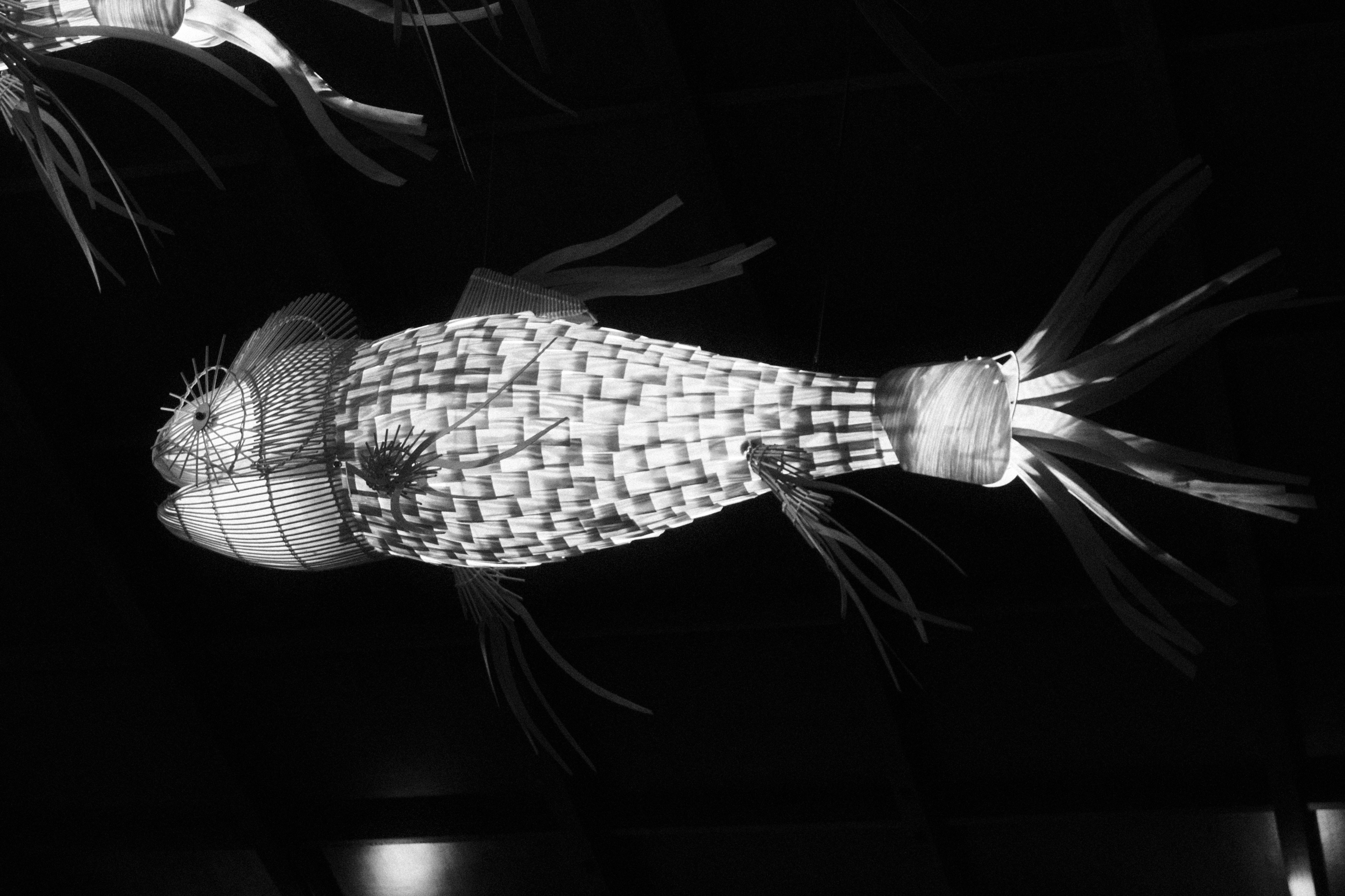 Photo by rkdotdesign