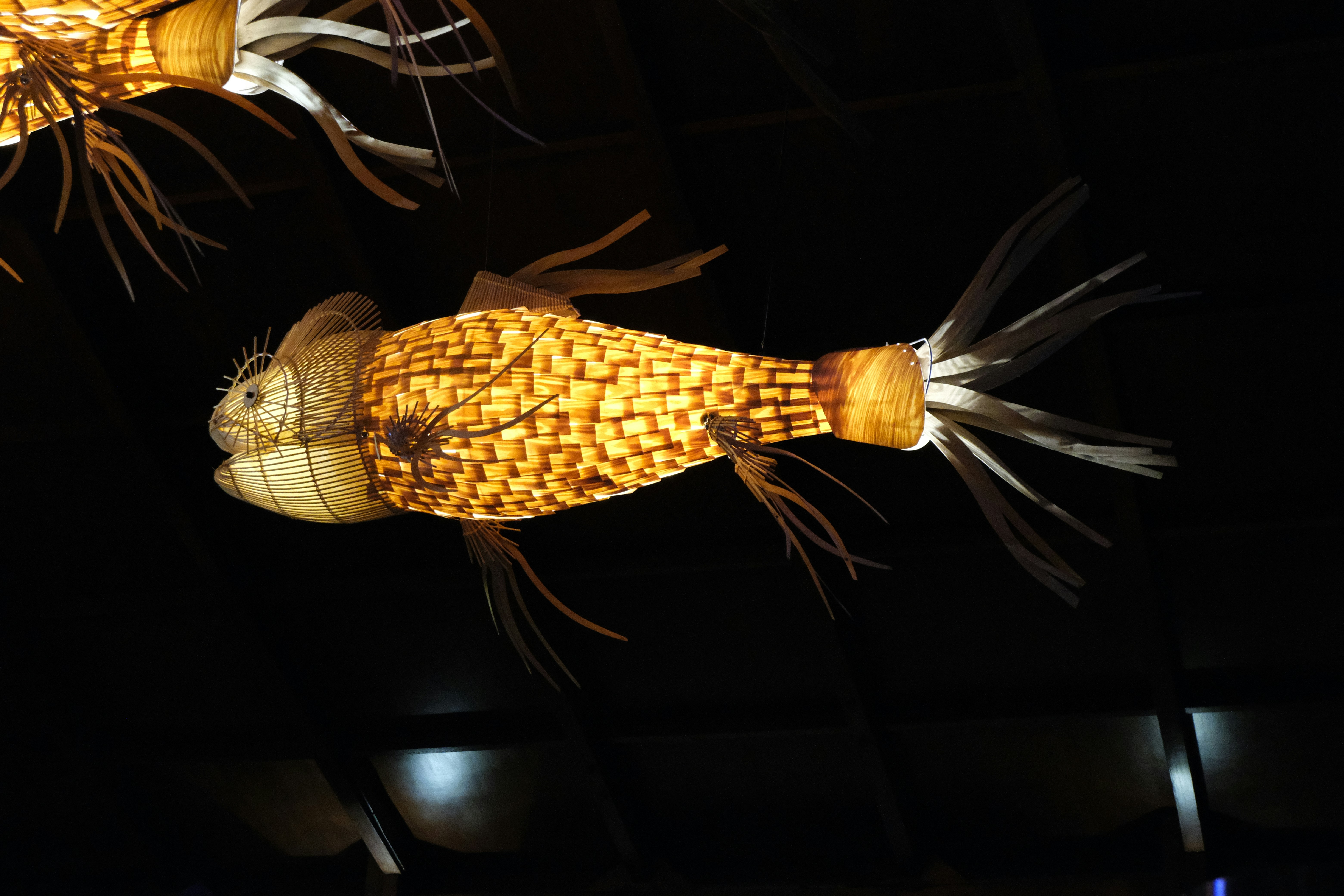 Photo by rkdotdesign