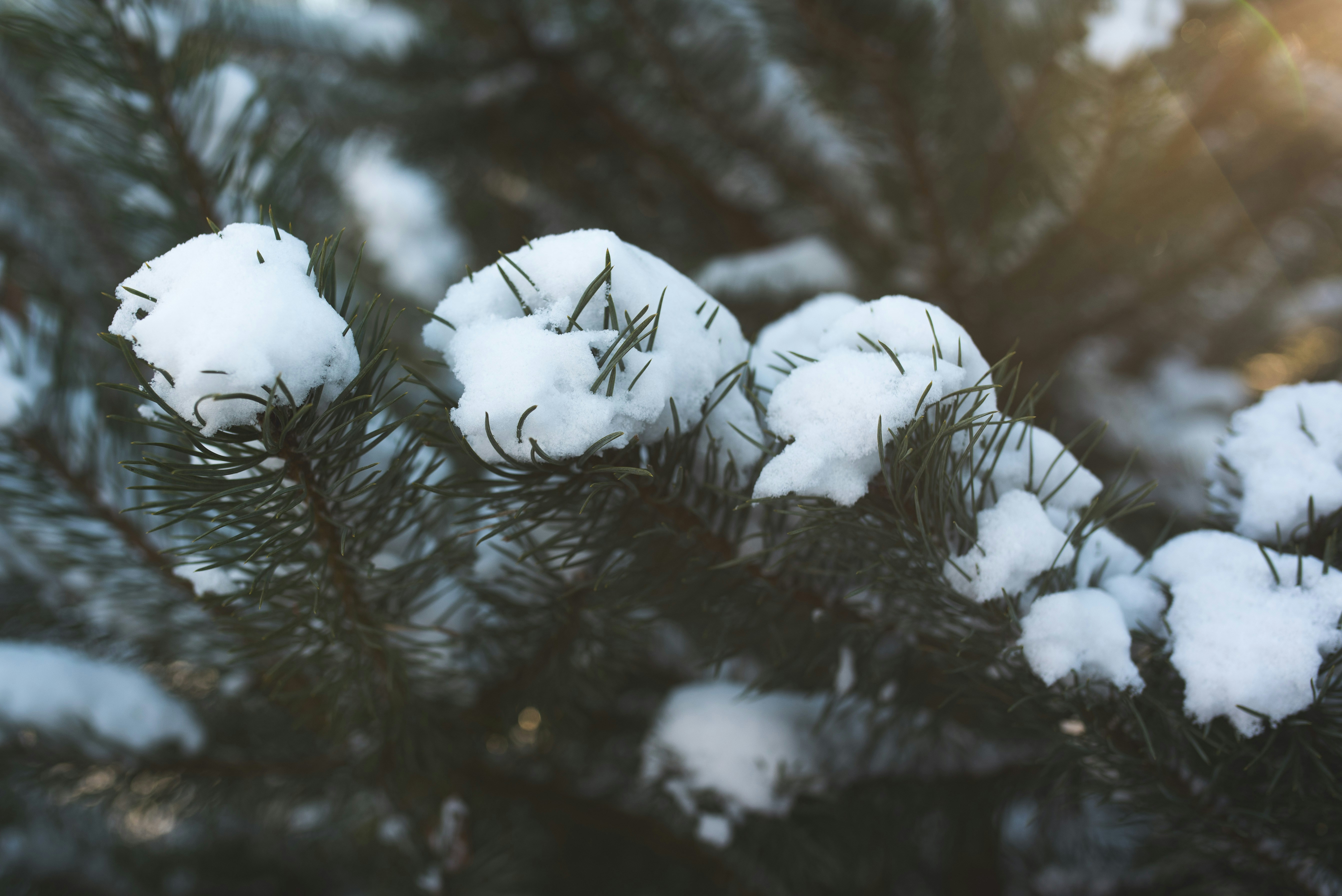 Photo by witchyrefuge