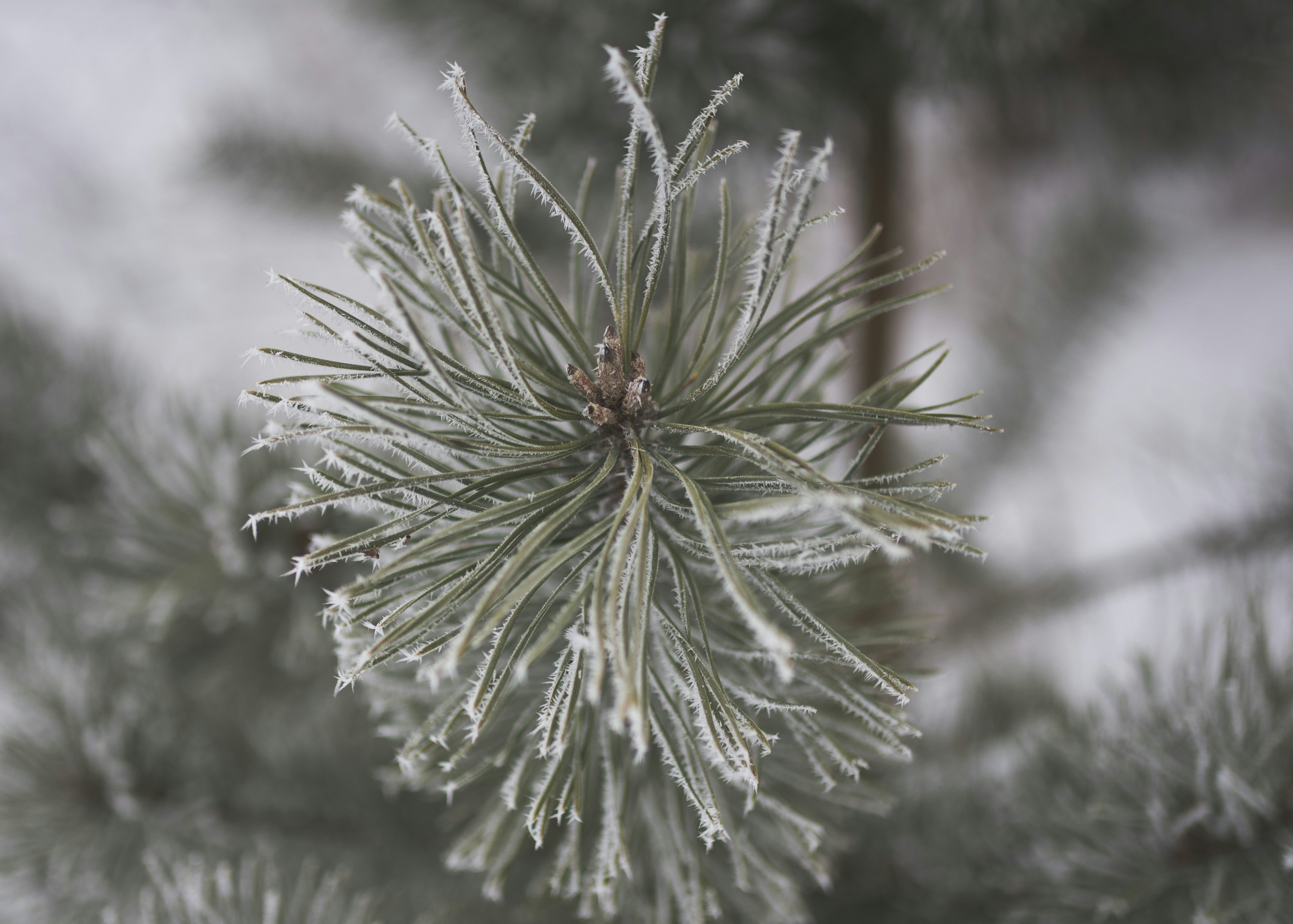 Photo by witchyrefuge