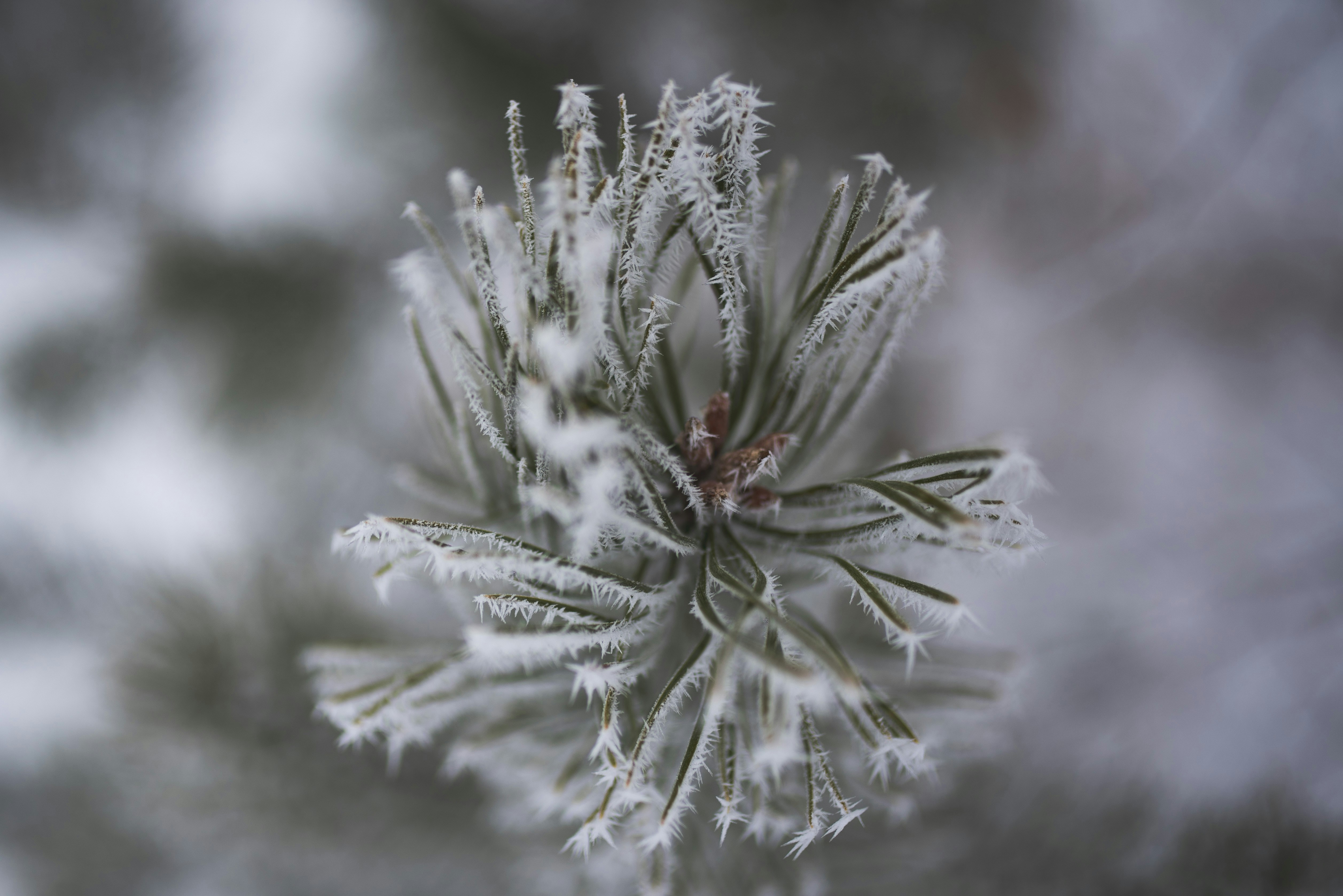 Photo by witchyrefuge