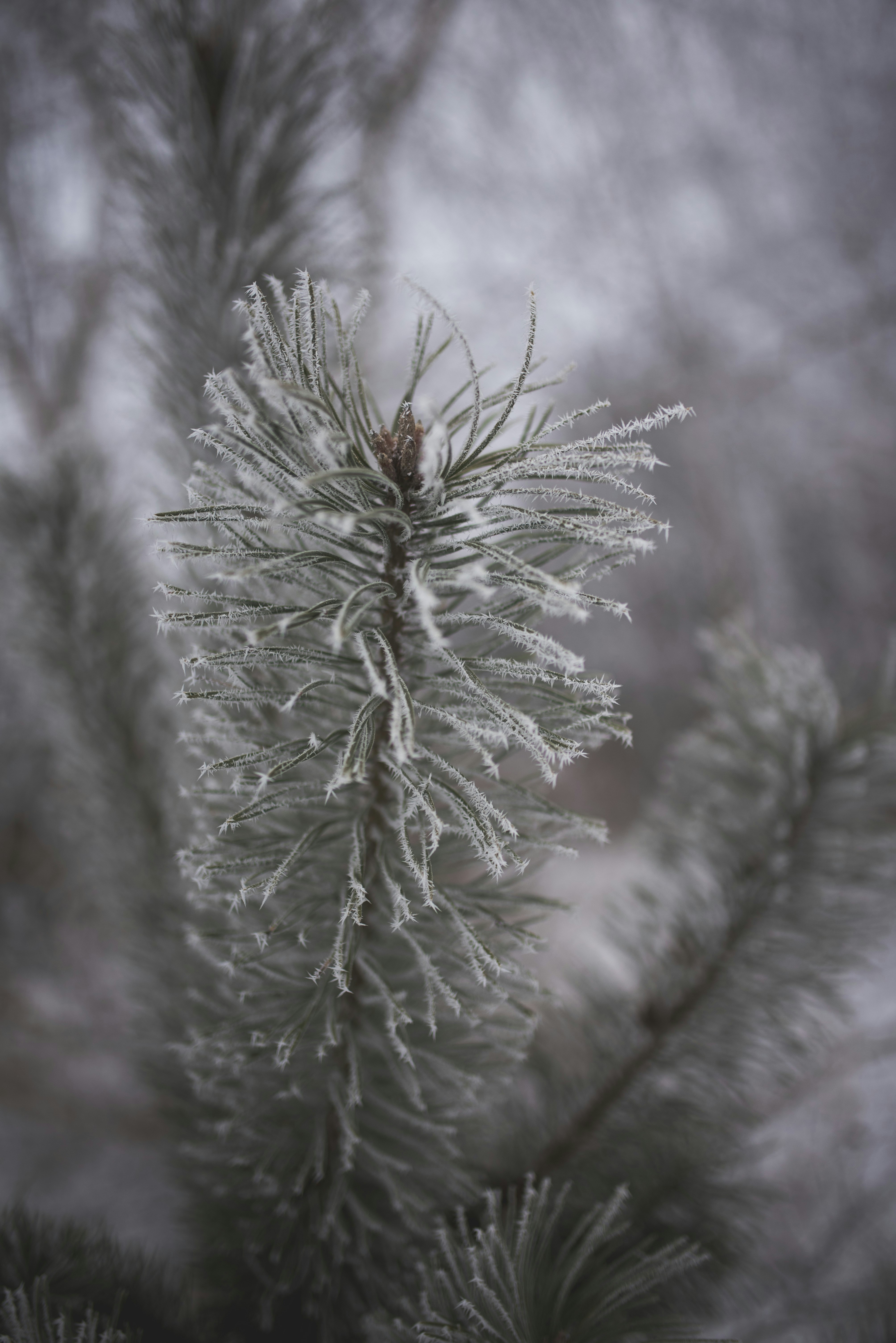 Photo by witchyrefuge