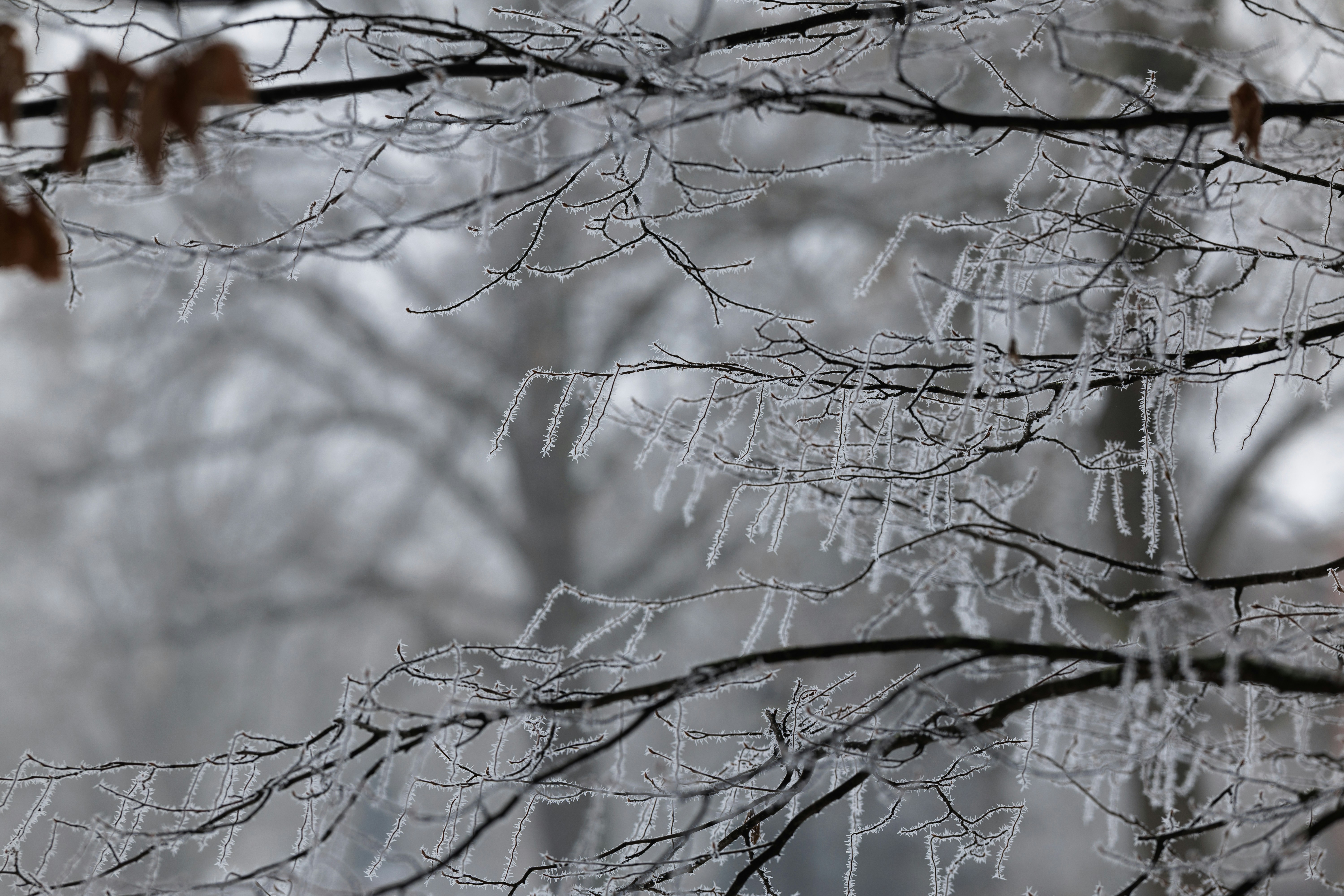 Photo by Alexandr Popadin on unsplash