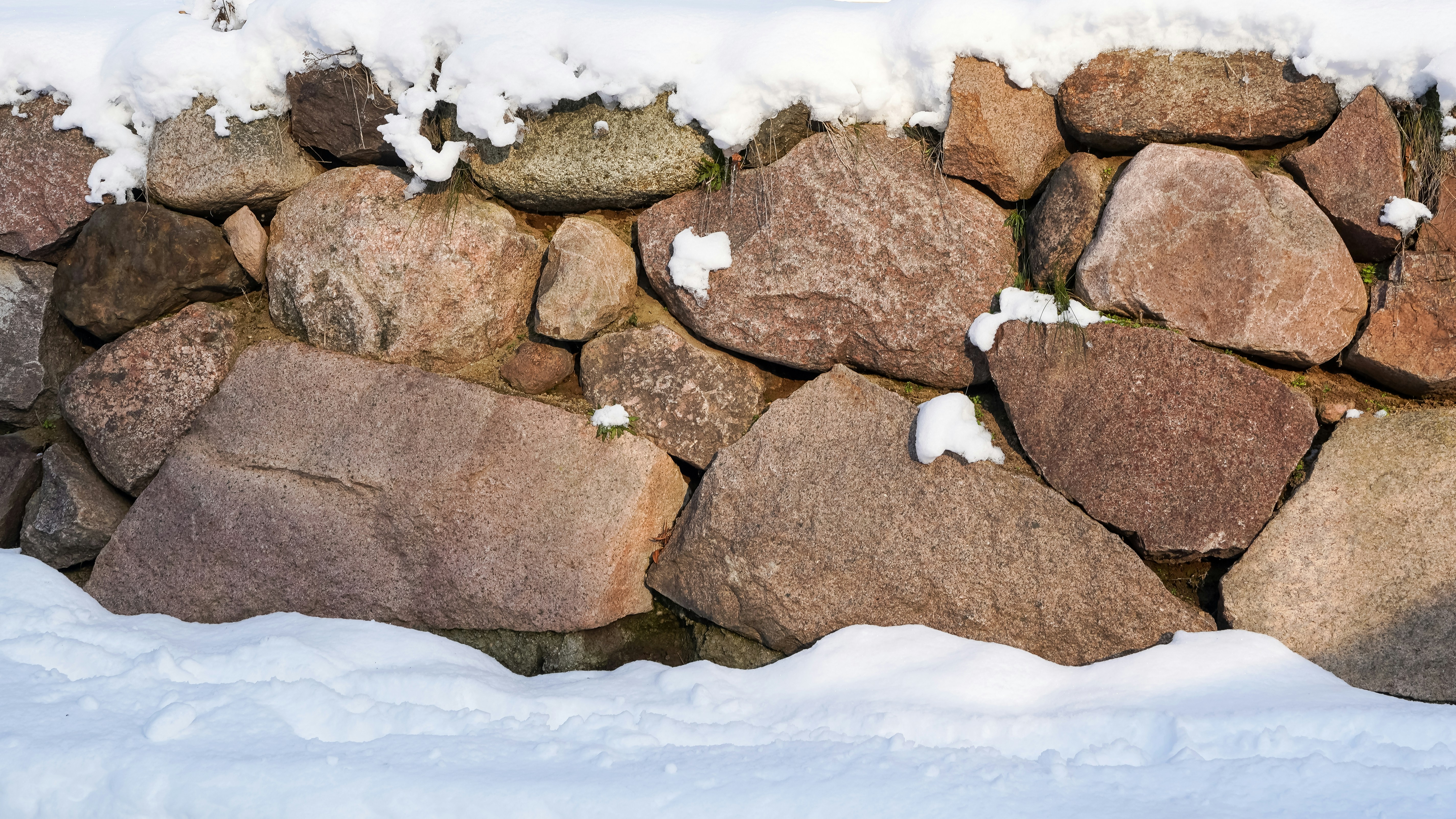 Photo by hamburgmeinefreundin