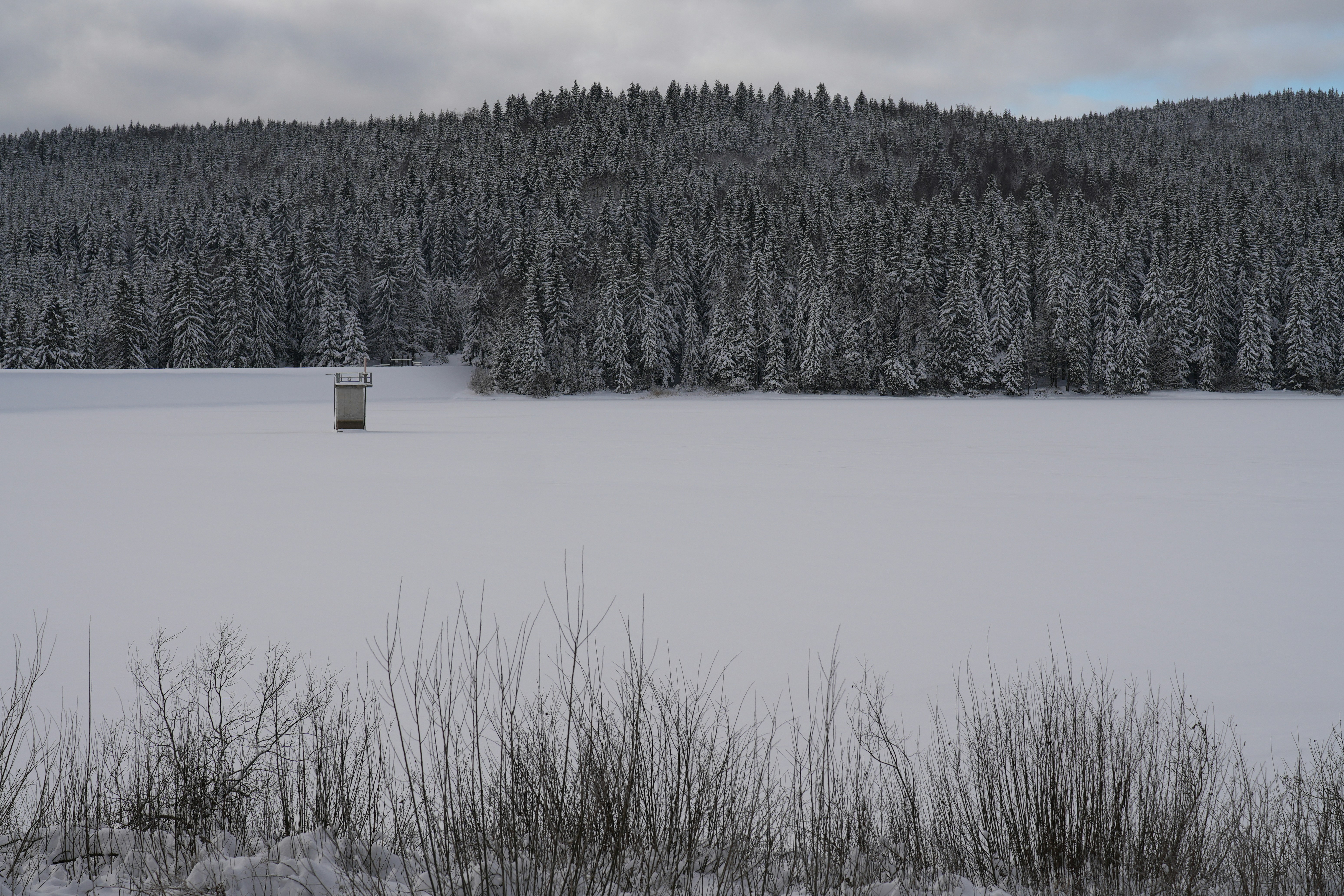 Snow-covered forest and frozen lake with structure.