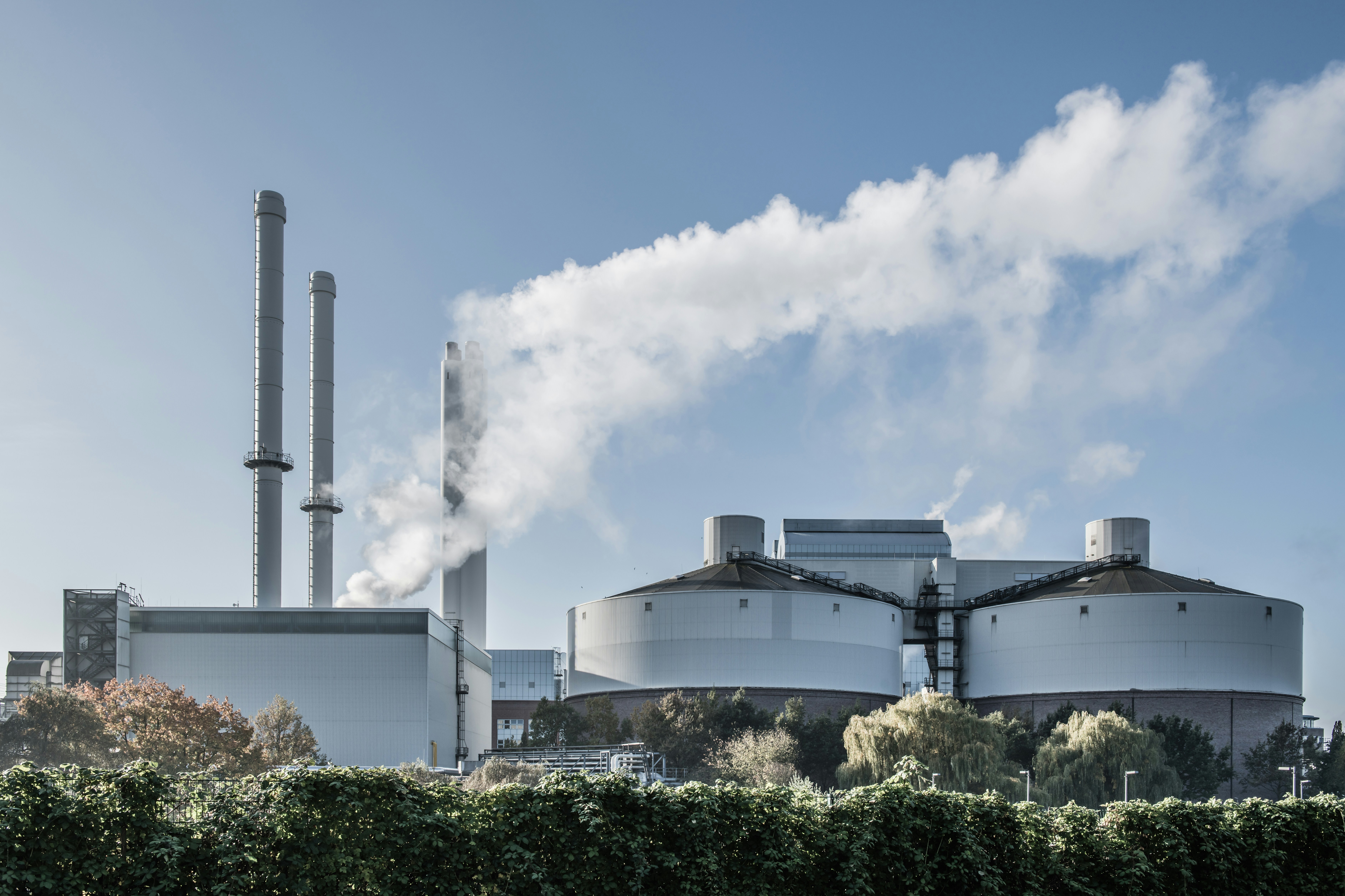 Photo by hamburgmeinefreundin