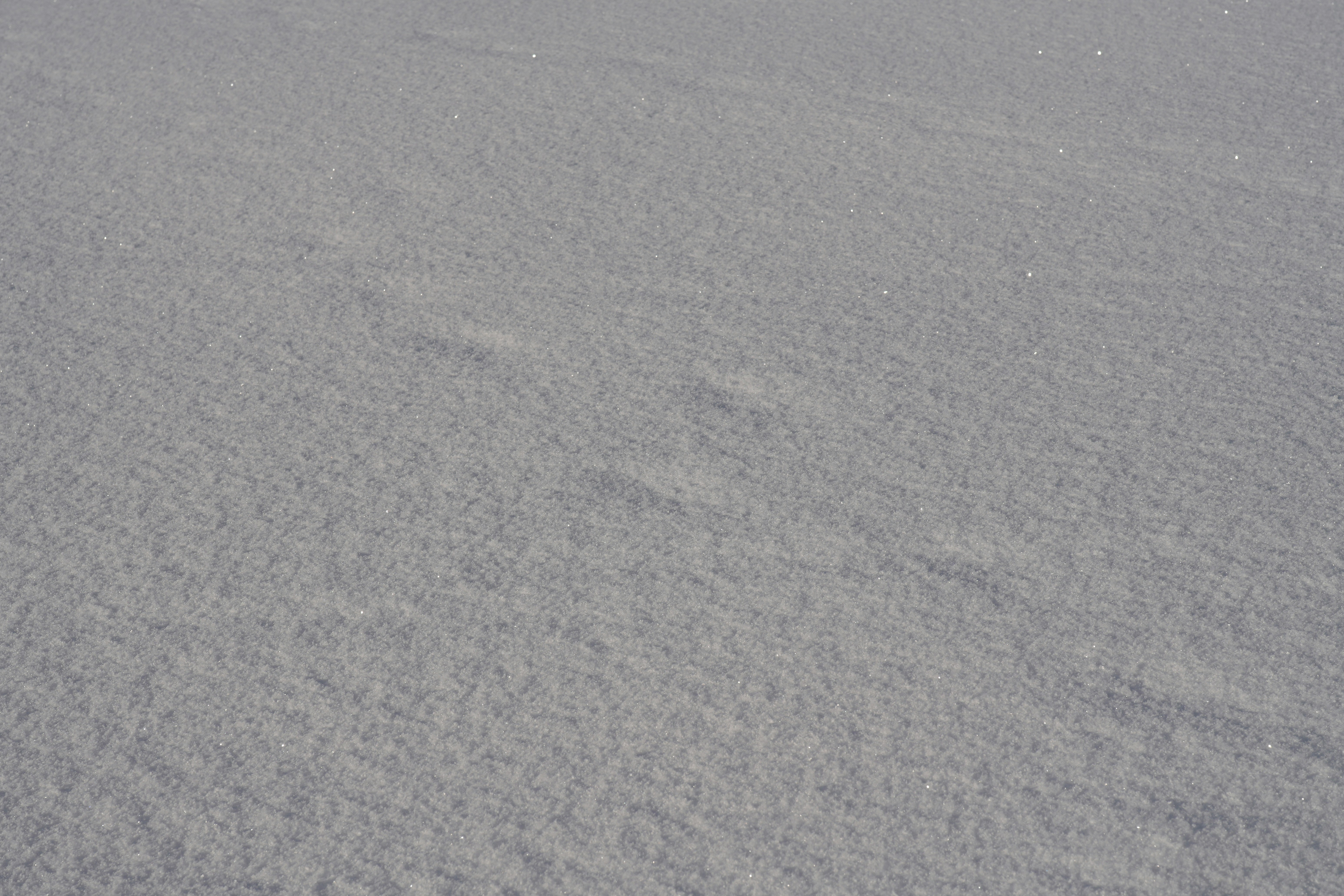 A textured surface of fresh white snow