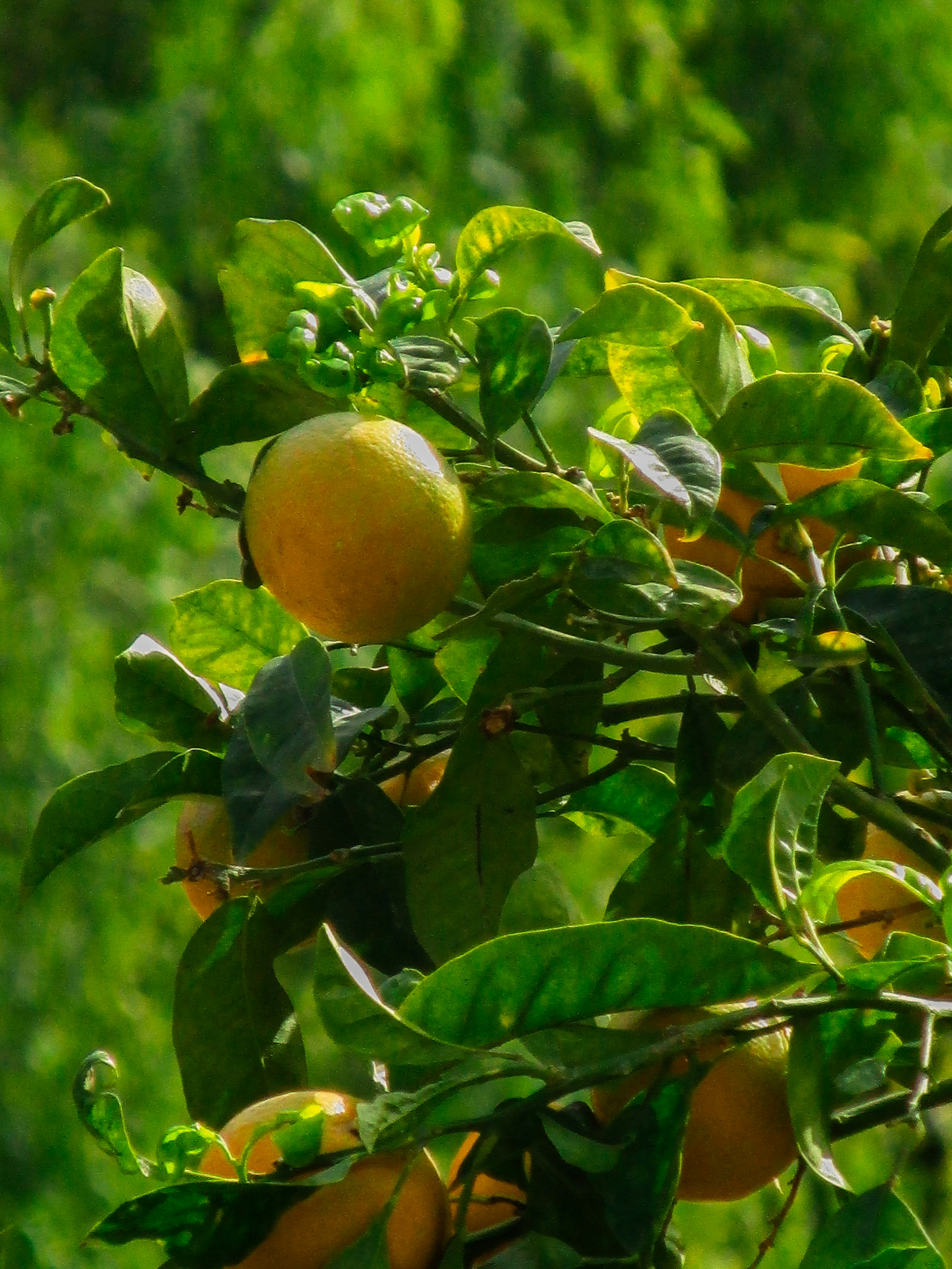 Photo by simplyxteddy