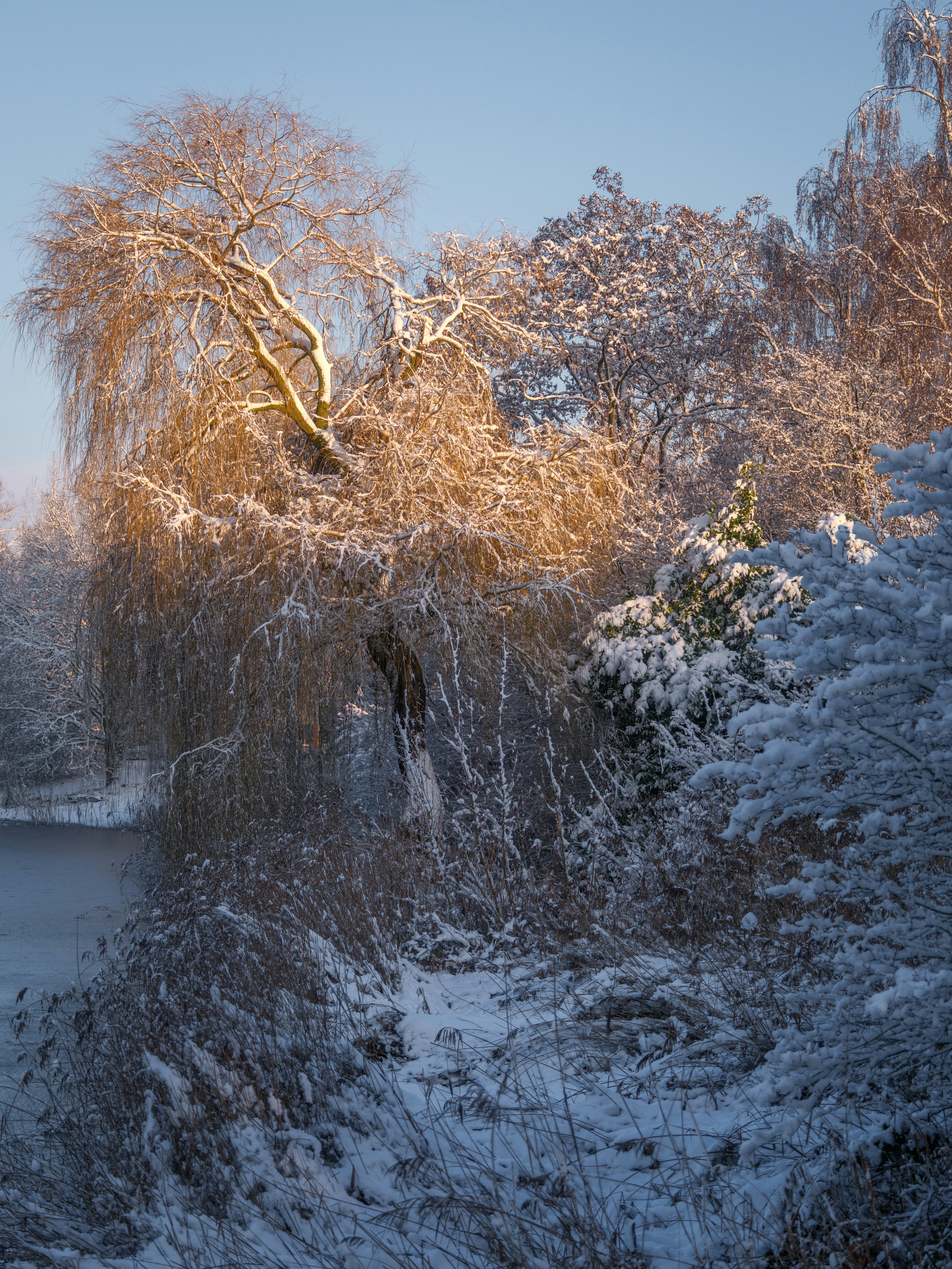 Photo by haberdoedas