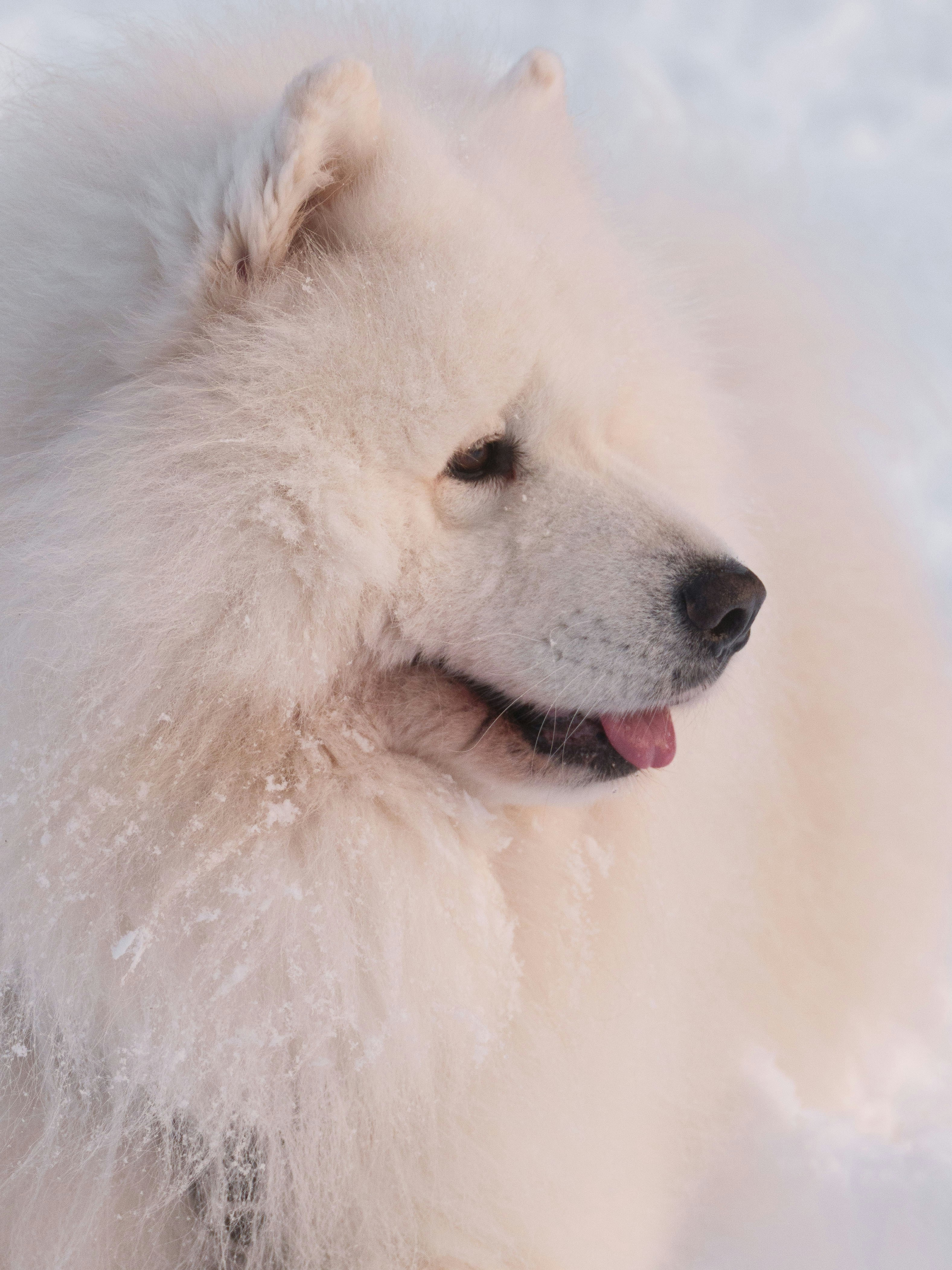 Photo by haberdoedas