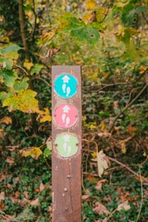 Wooden post with three colored trail markers