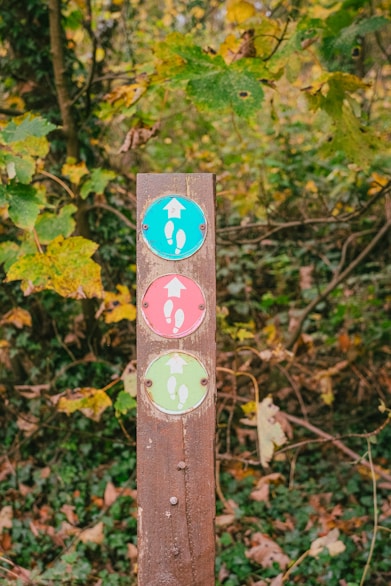 Wooden post with three colored trail markers