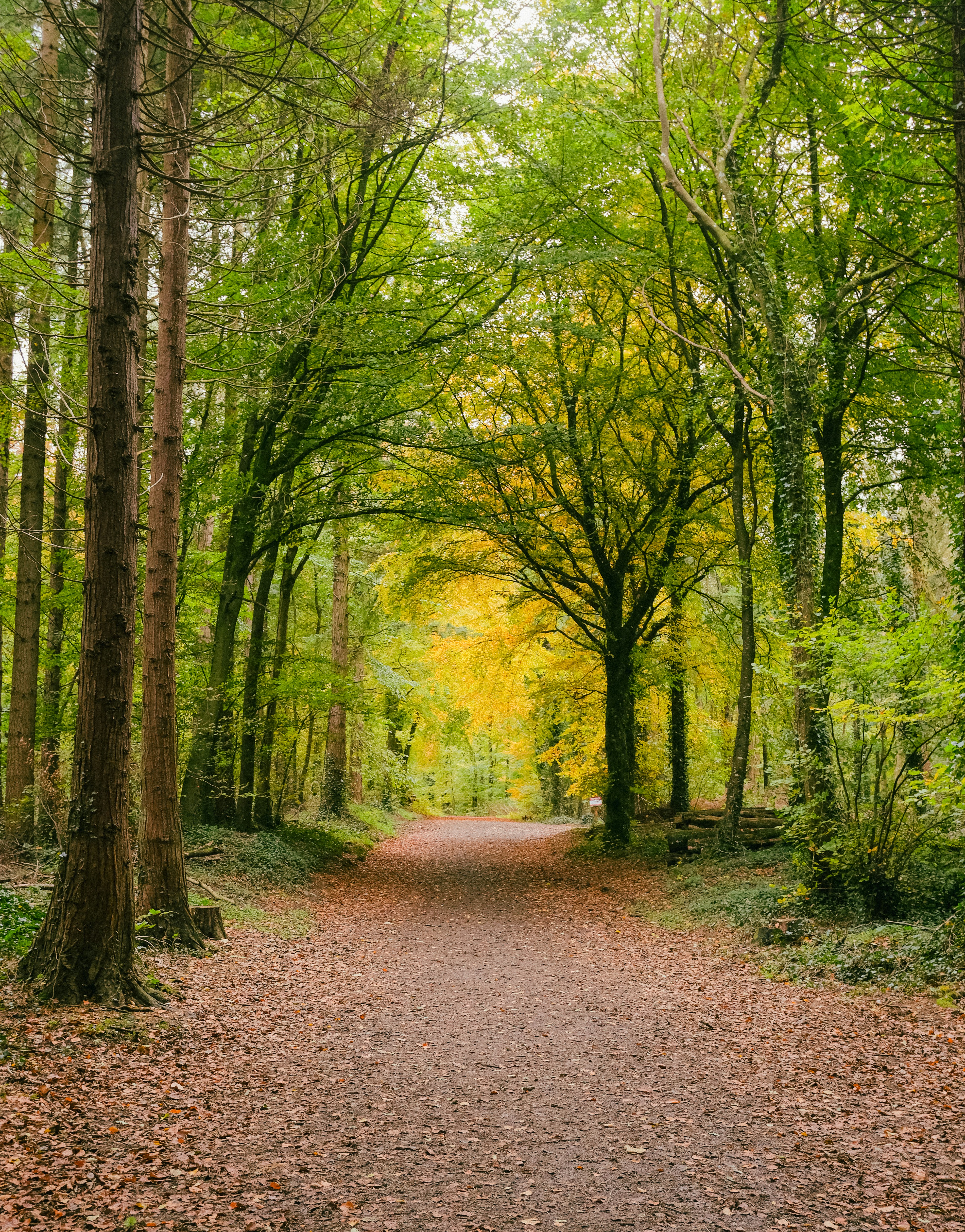 Photo by itsaroadmap