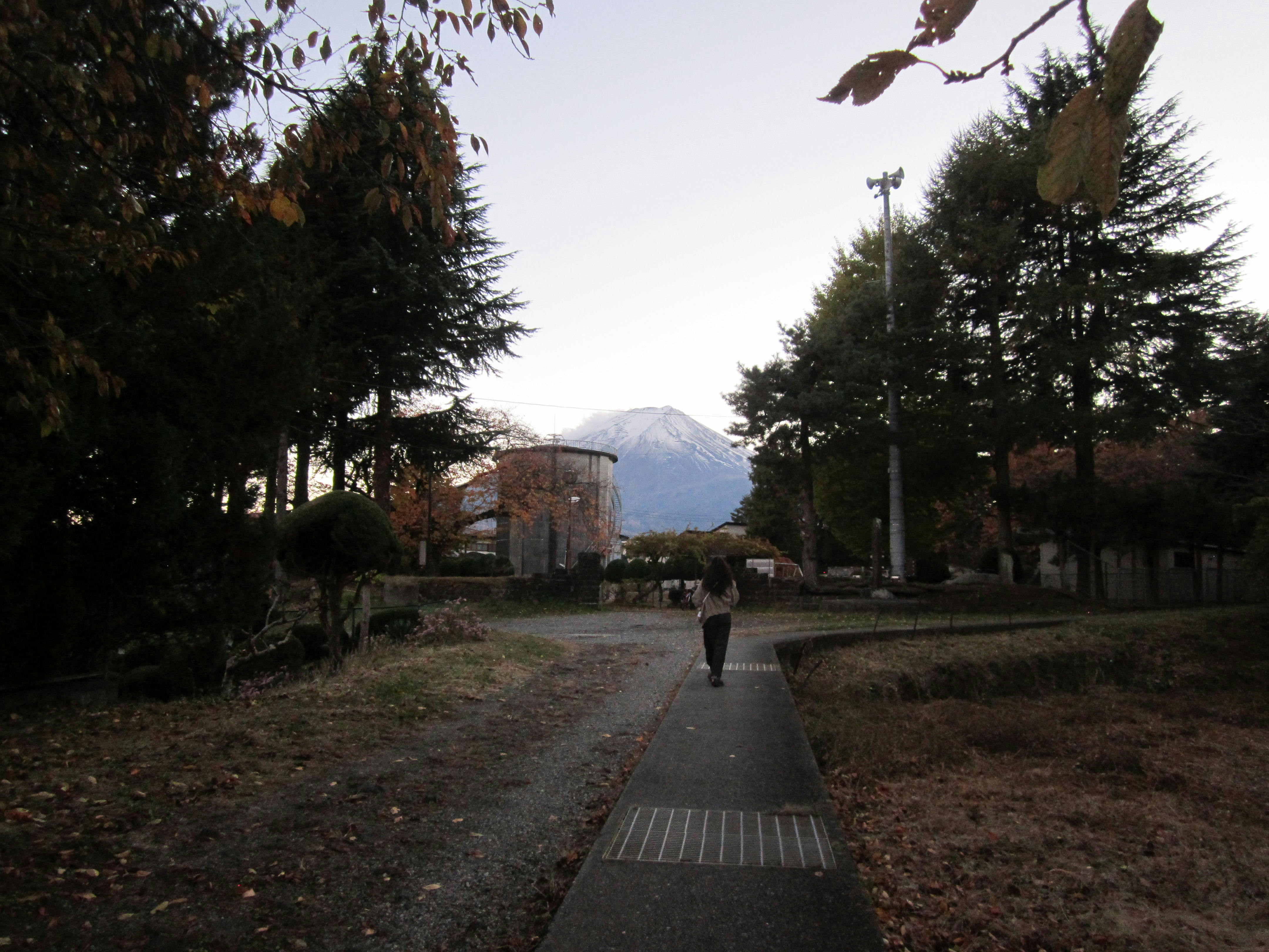 A lone person walks down a path towards mount fuji.