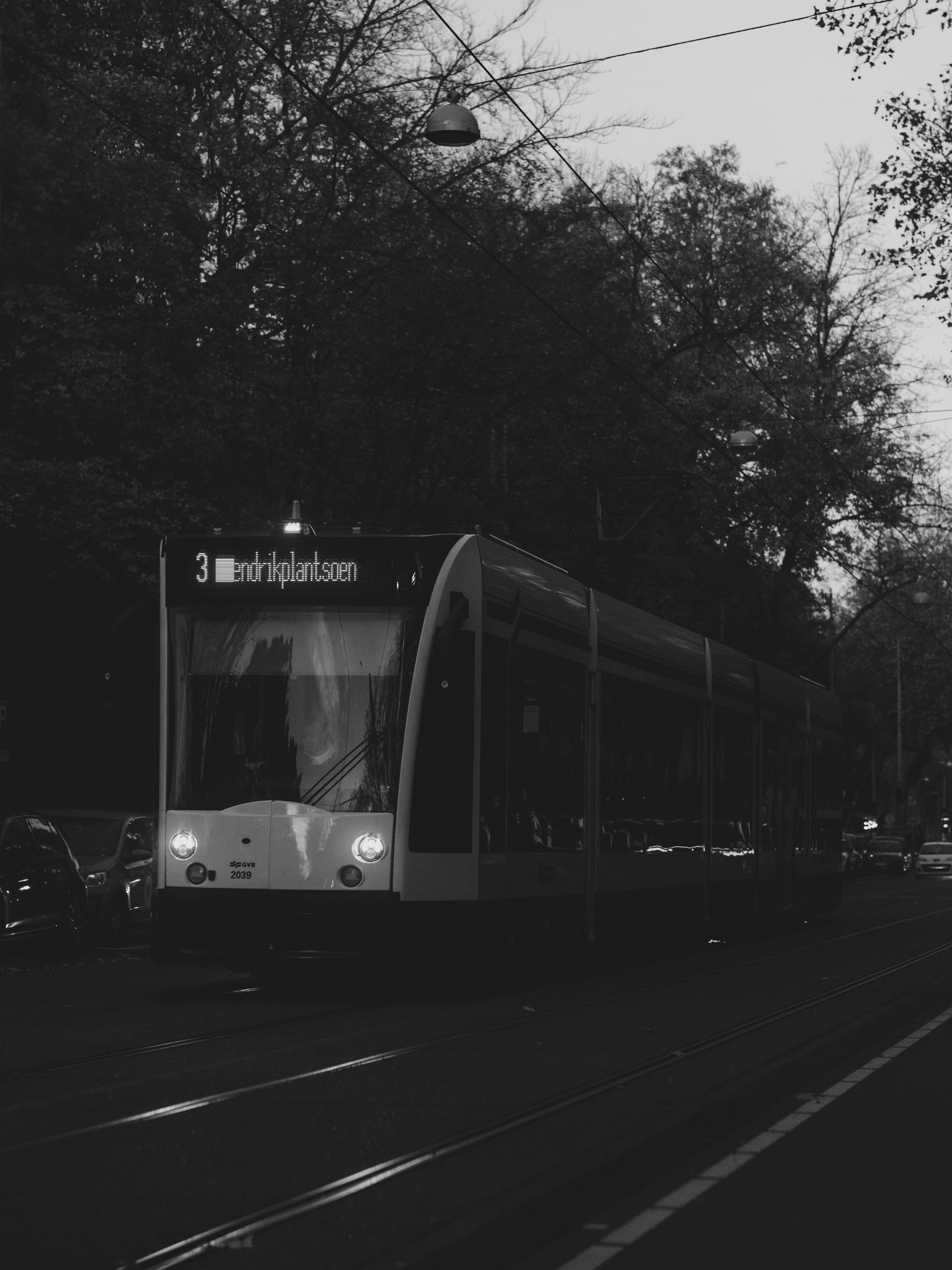 Photo by haberdoedas