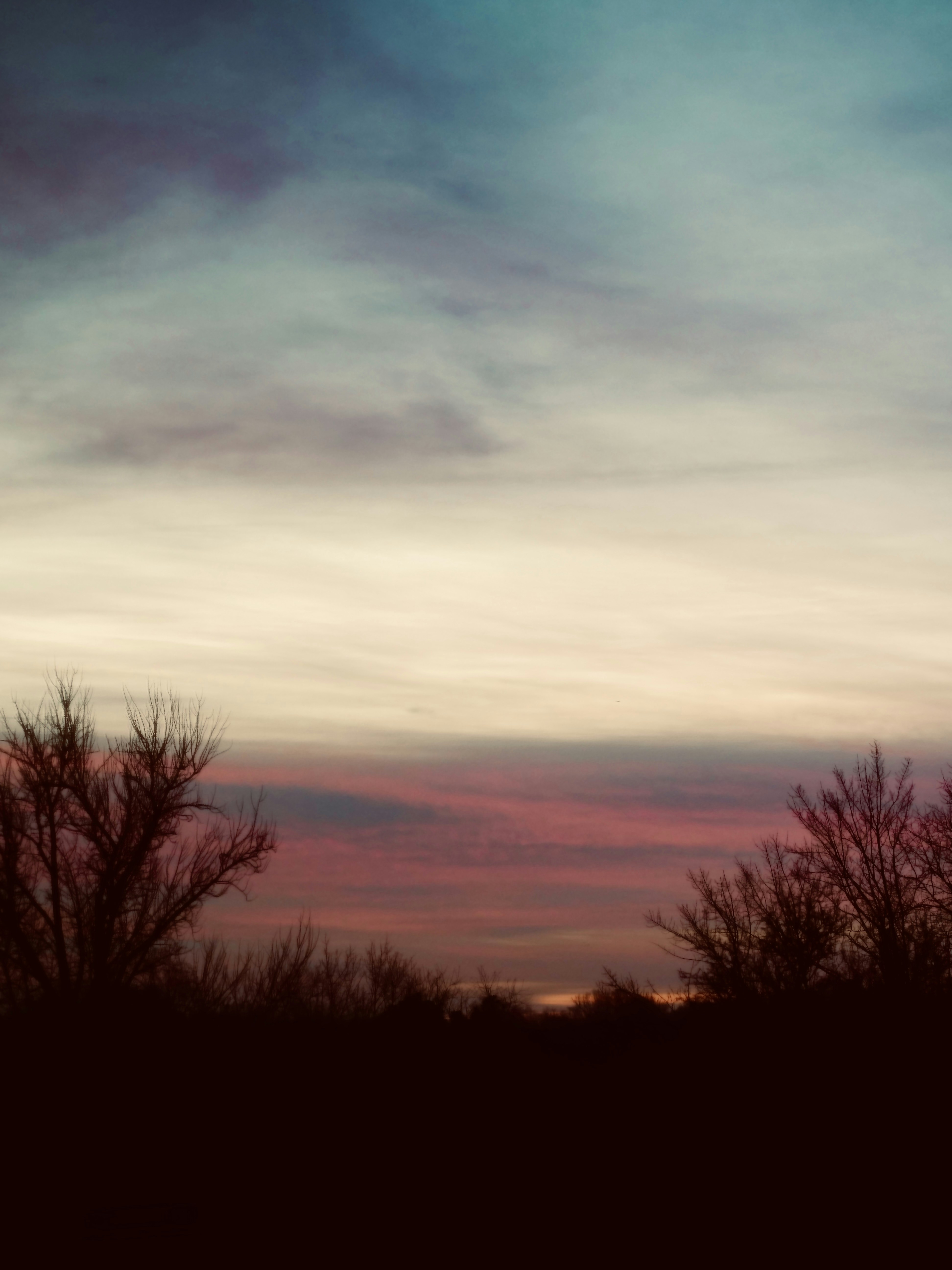 Photo by sschusterphotoart