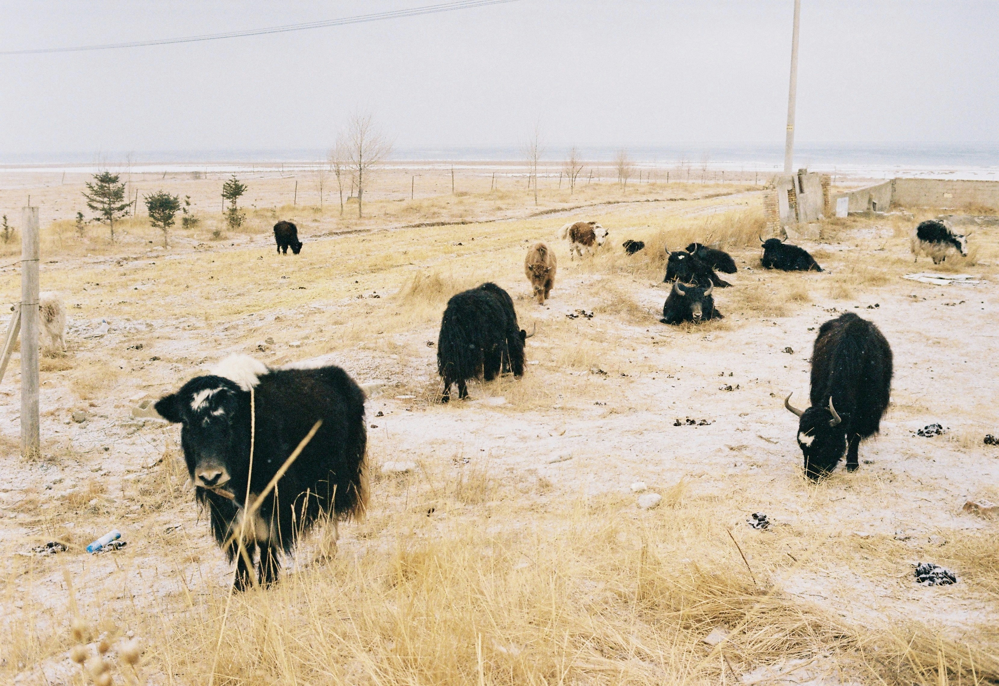 Photo by lwllwwlllwww