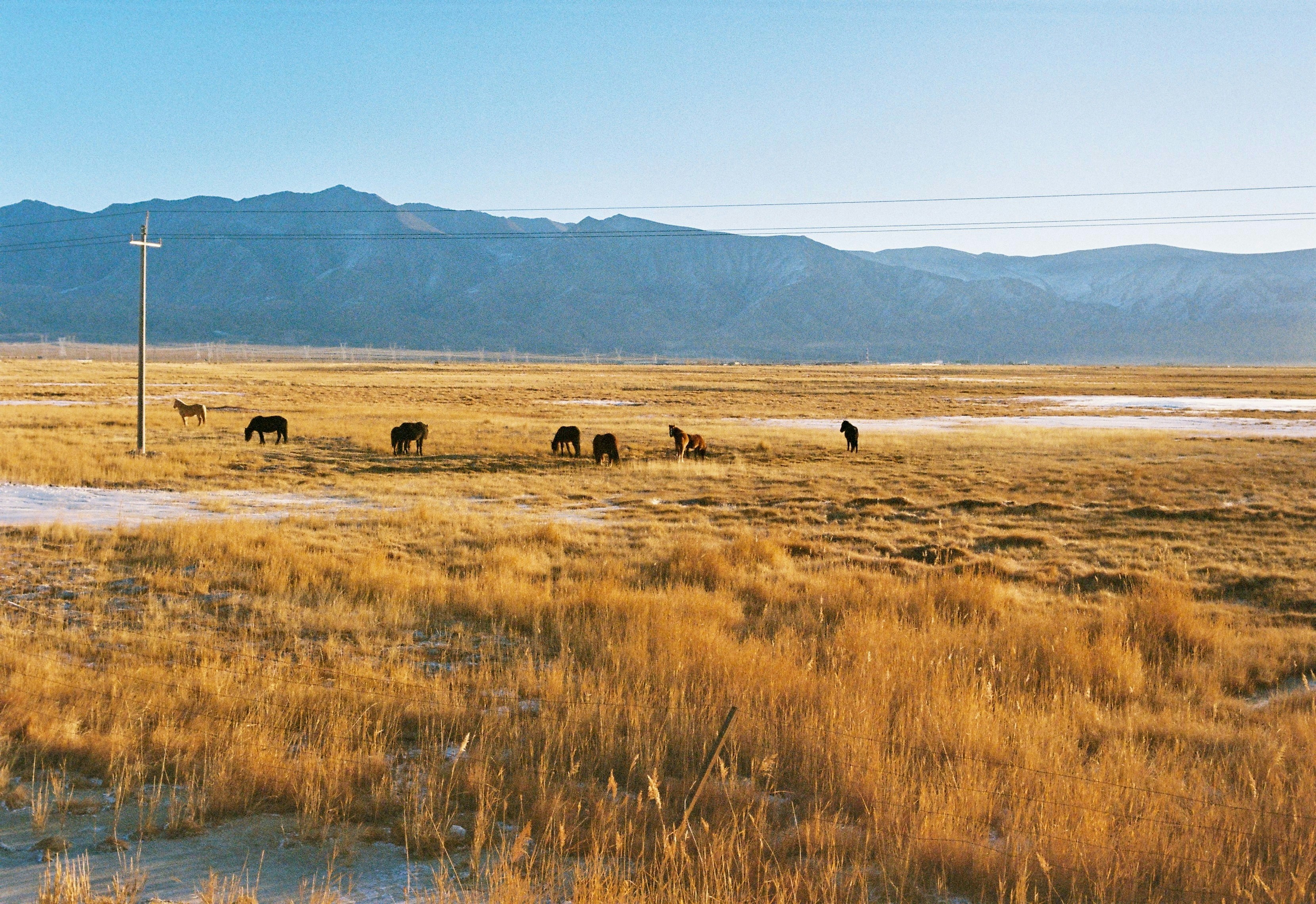 Photo by lwllwwlllwww