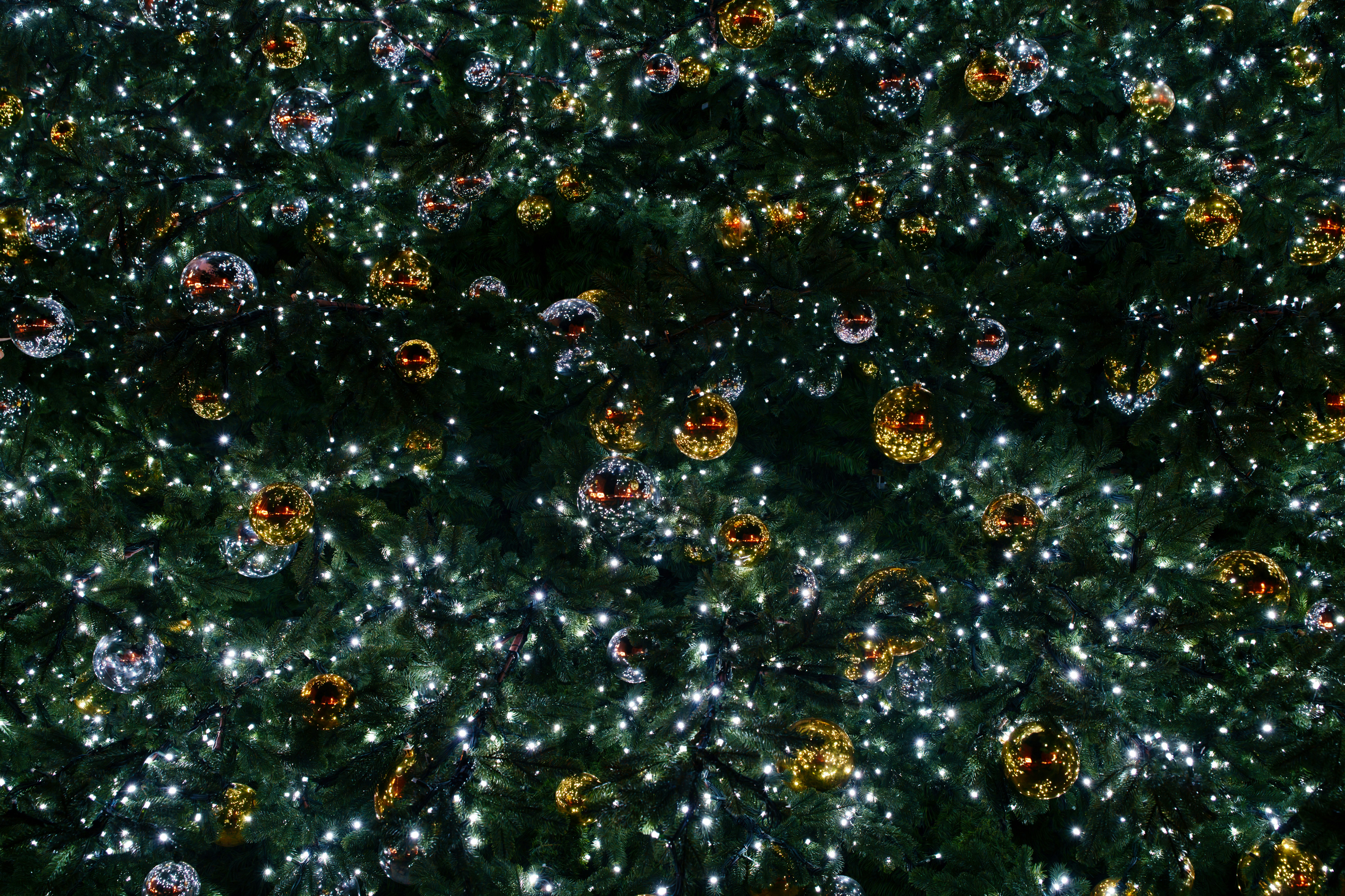 A decorated christmas tree with lights and ornaments