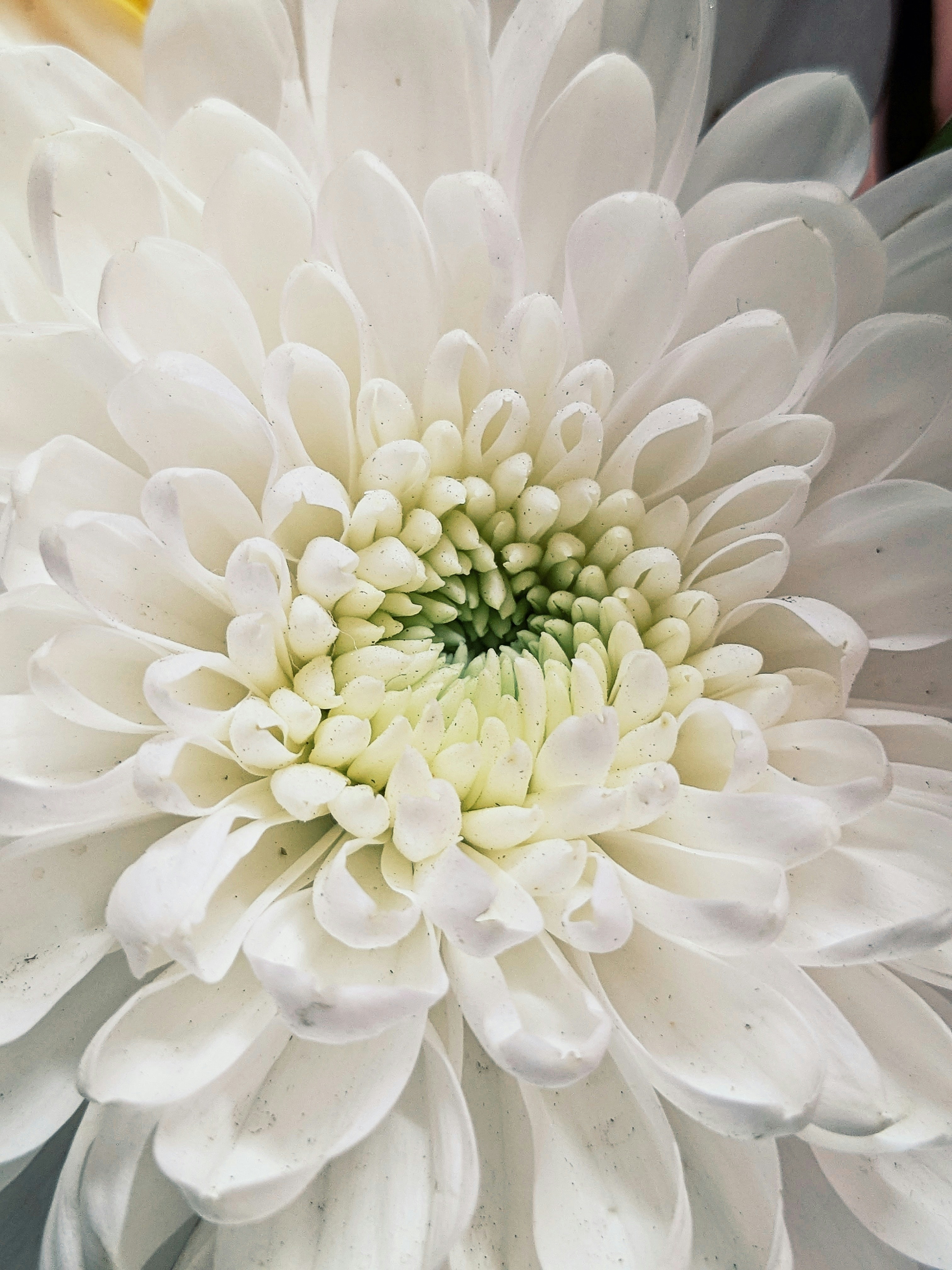 Photo by arif_zack_photography