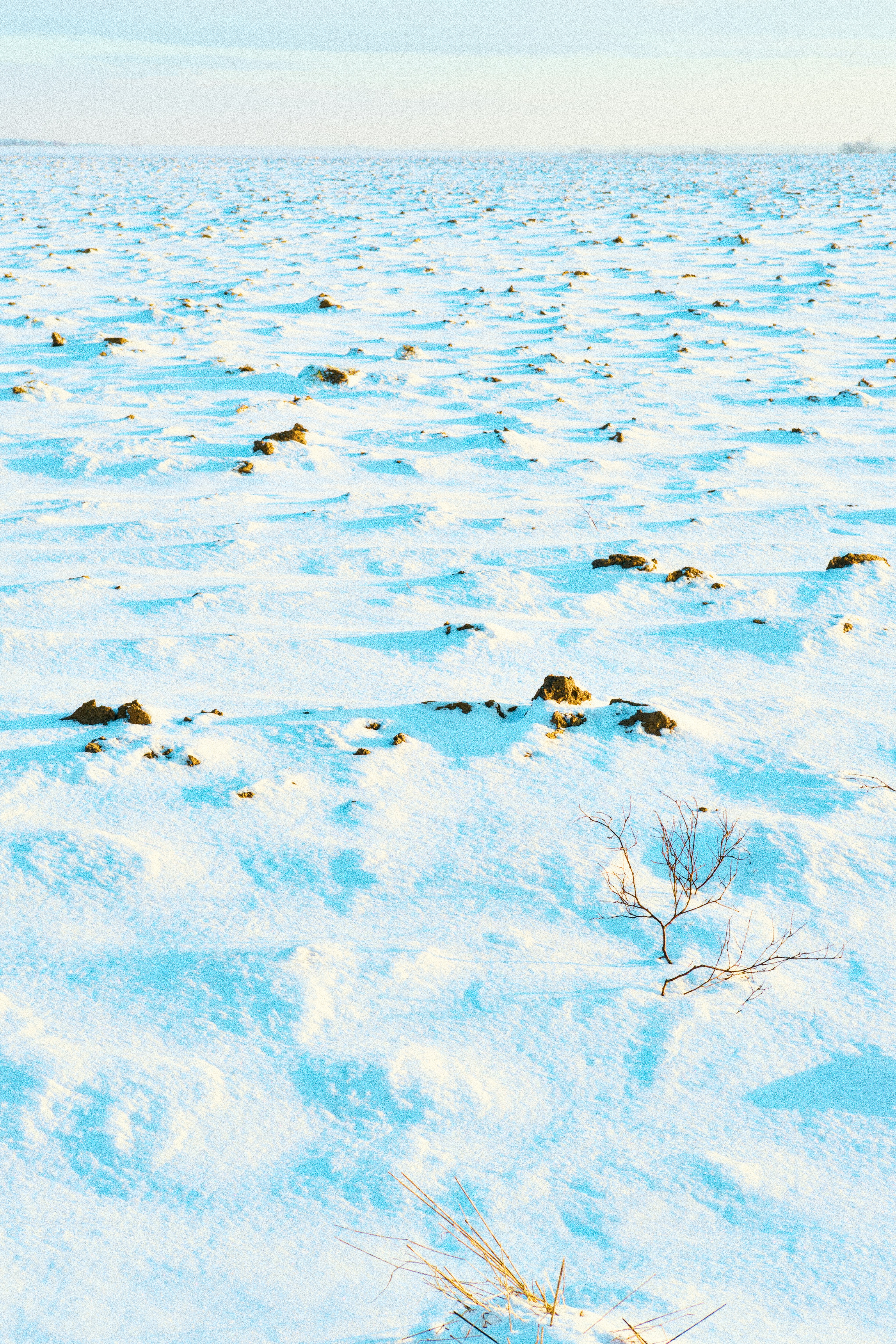 Vast snow-covered field with subtle undulations.