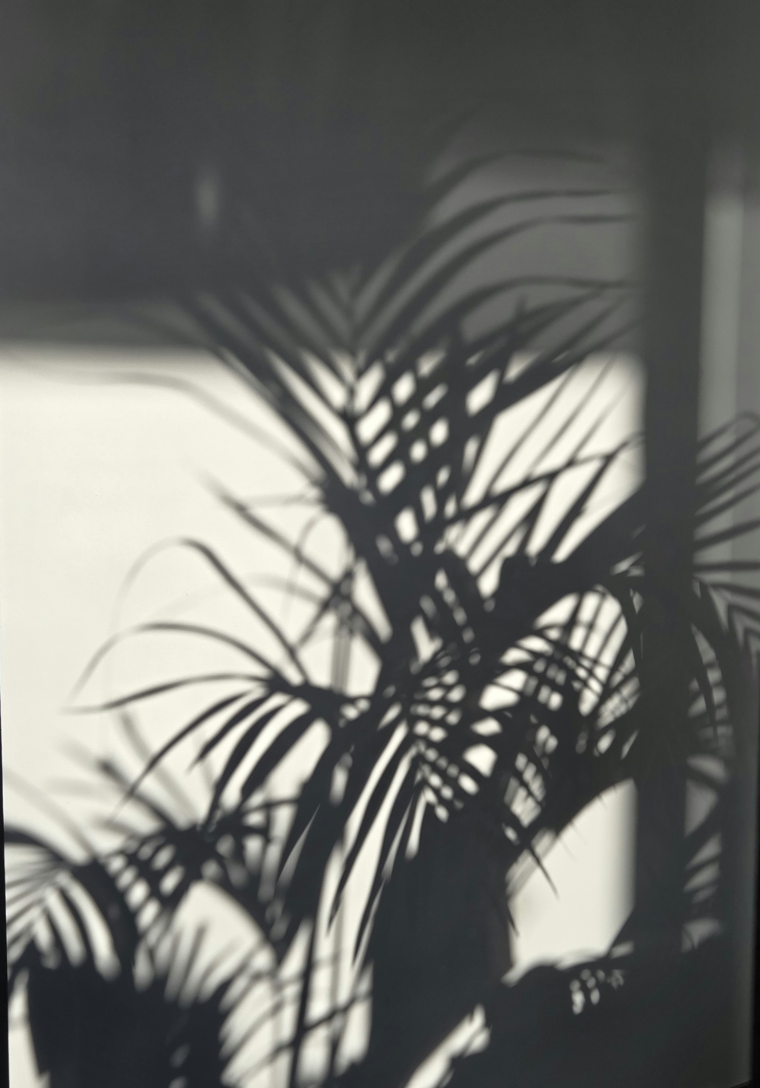 Photo by evilphoton42