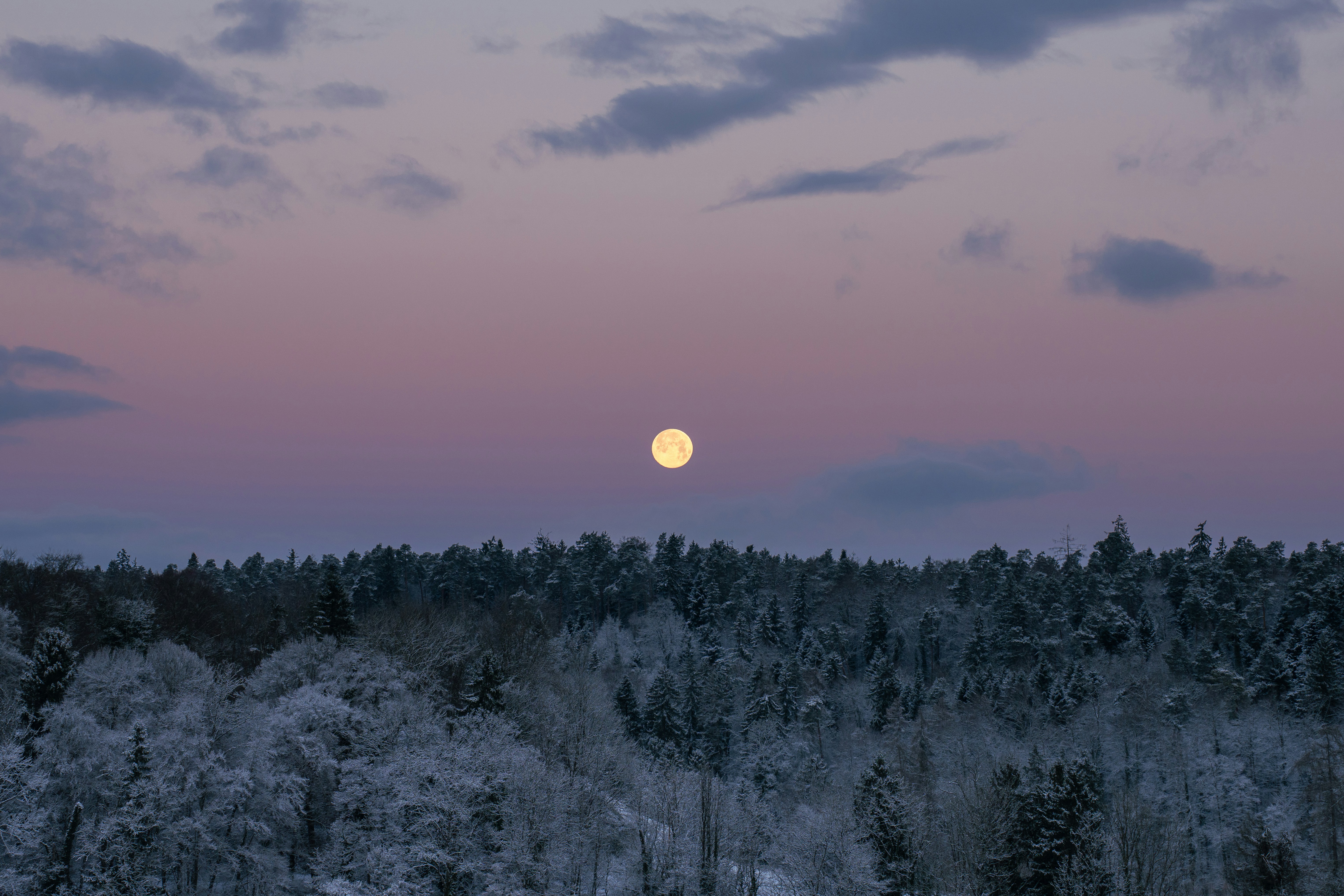 The February full moon is the Snow Moon on February 1