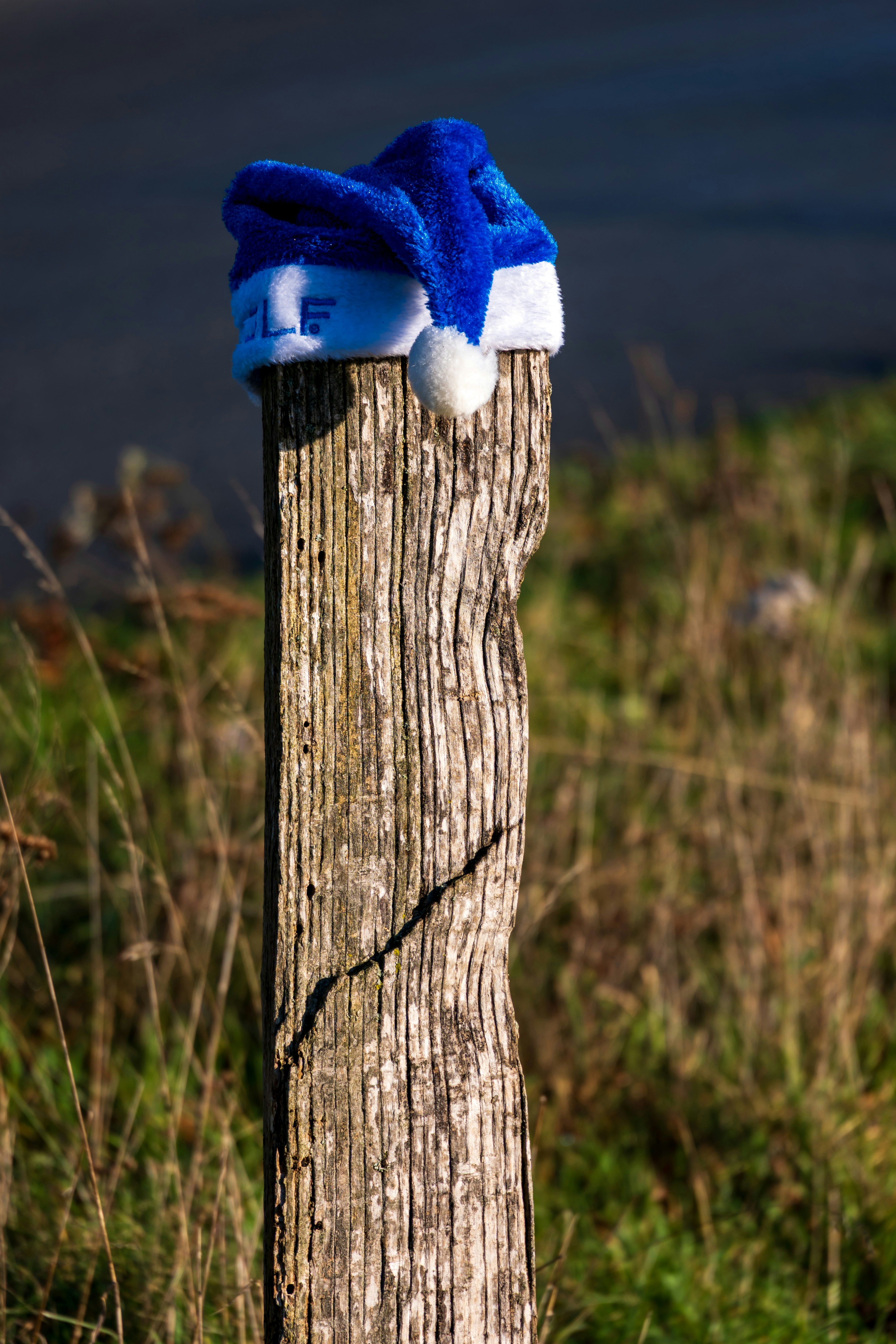 A blue santa hat rests on a weathered wooden post.