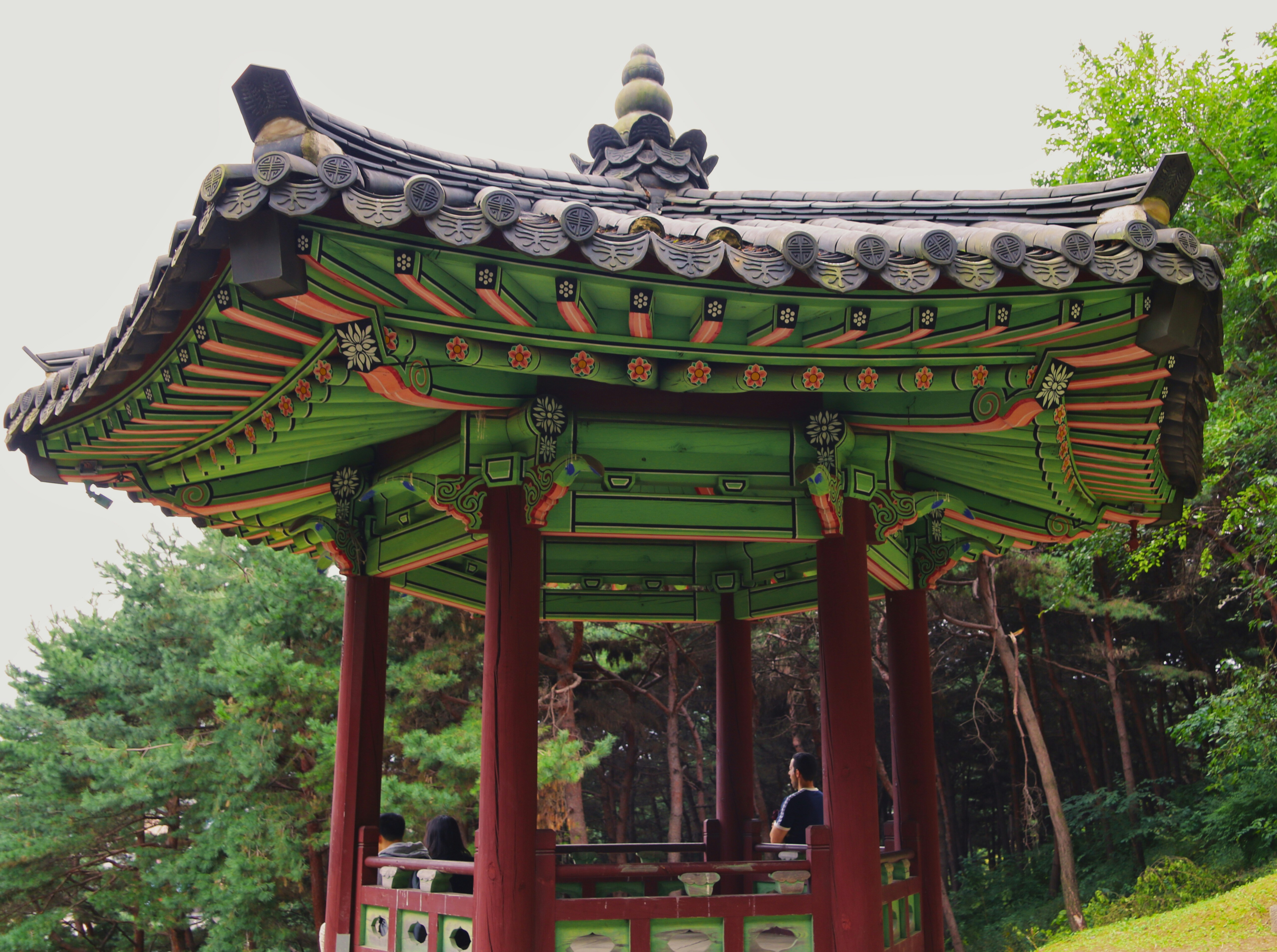 Photo by brunafisantos