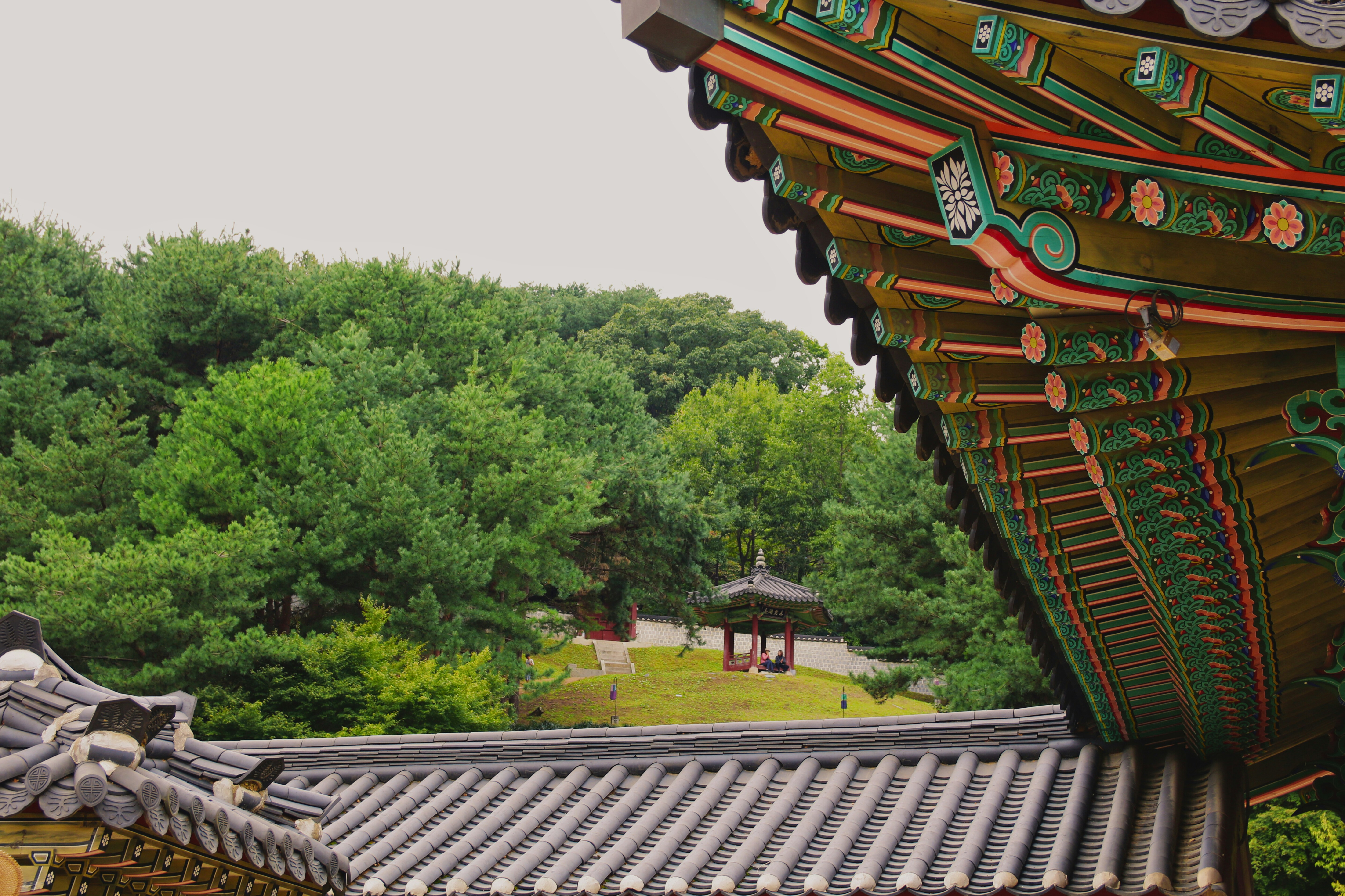 Photo by brunafisantos