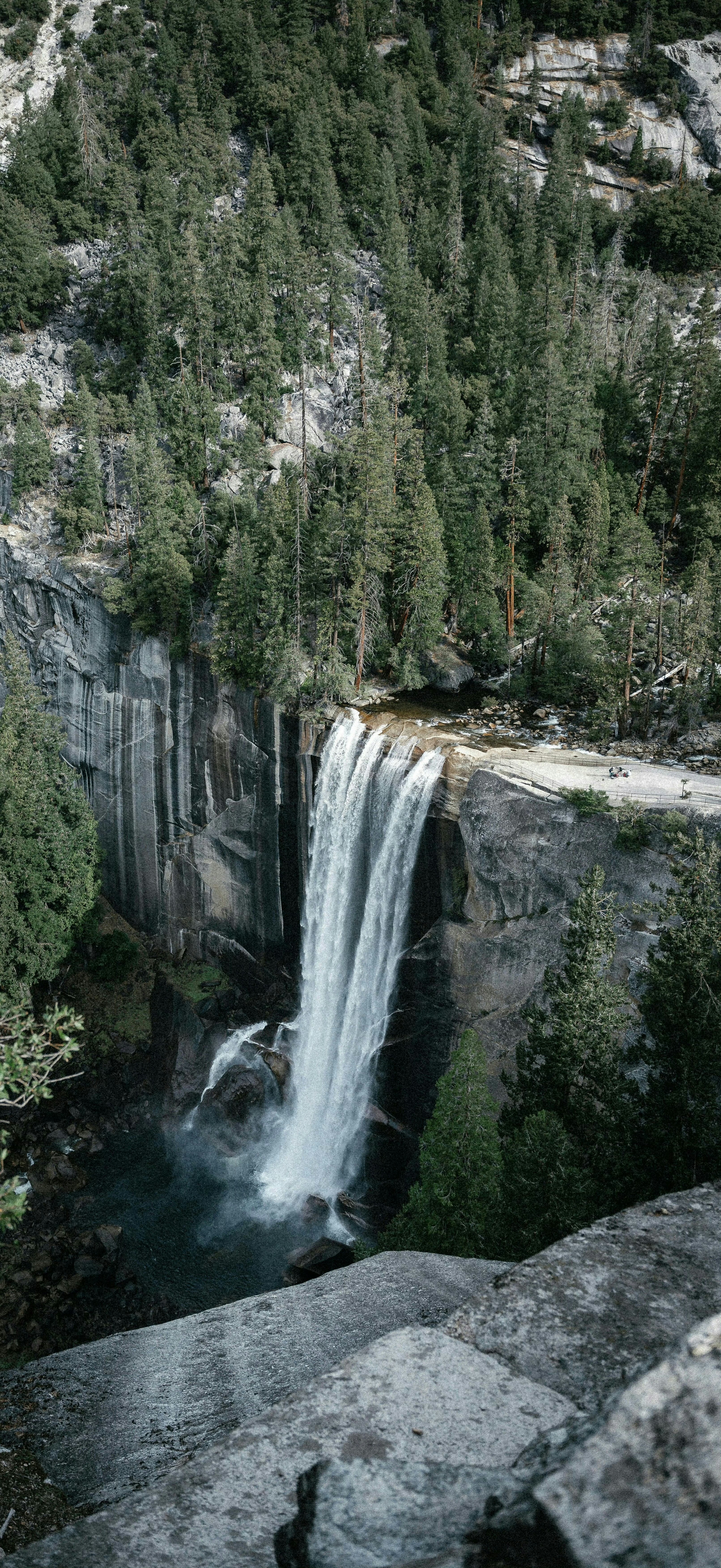 Photo by albertsssss