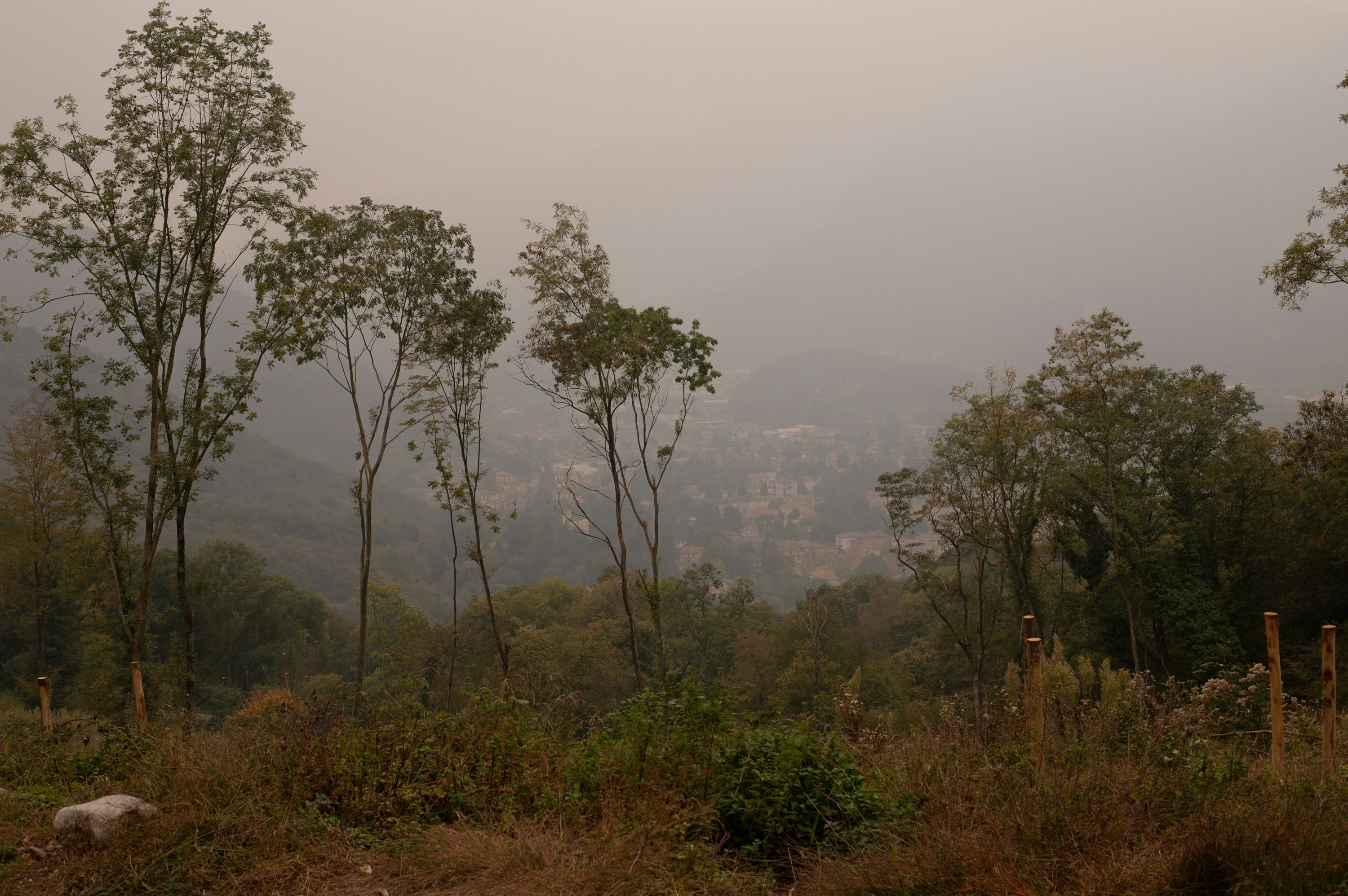 Photo by anamilanofoto