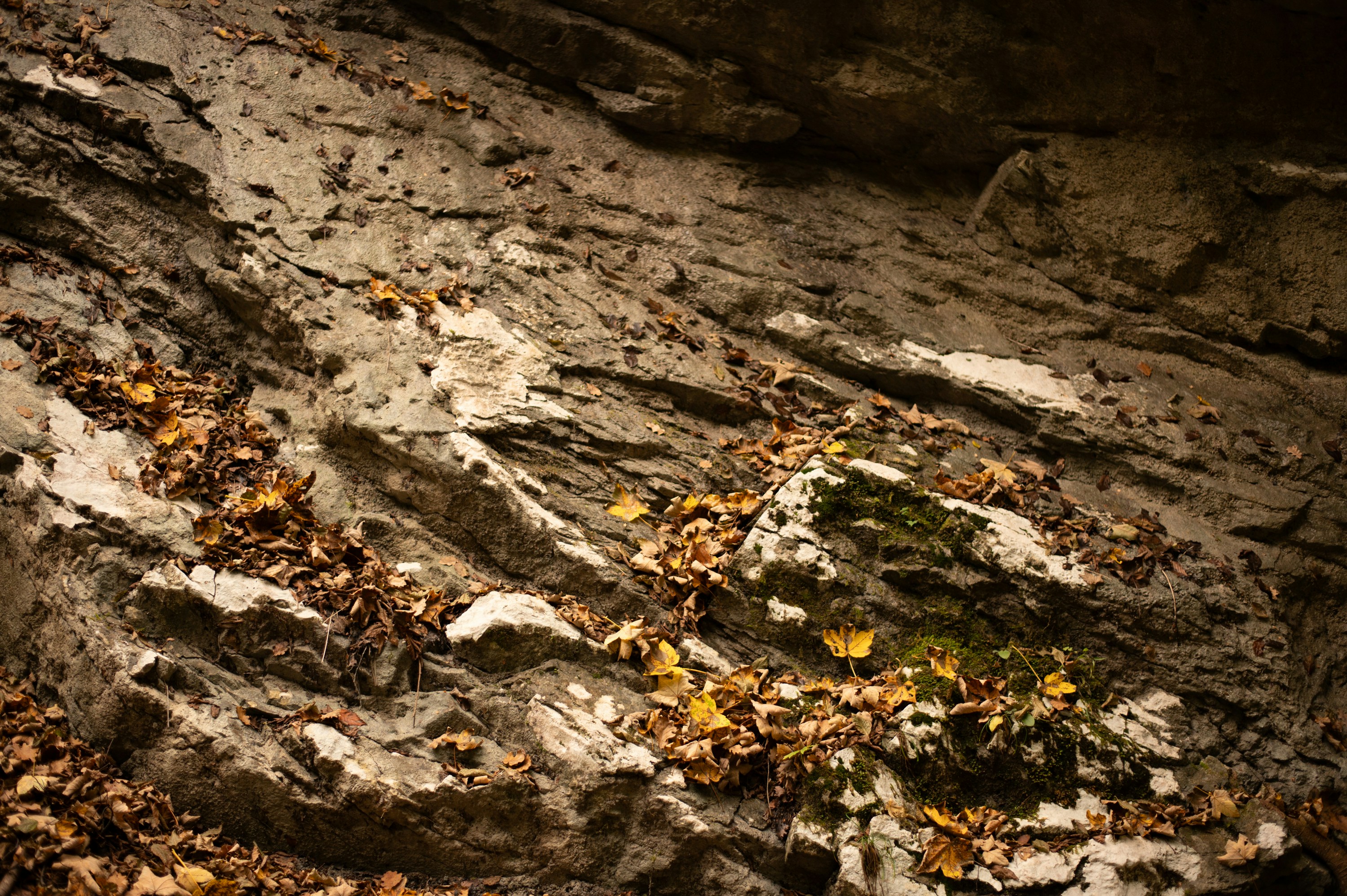 Photo by anamilanofoto