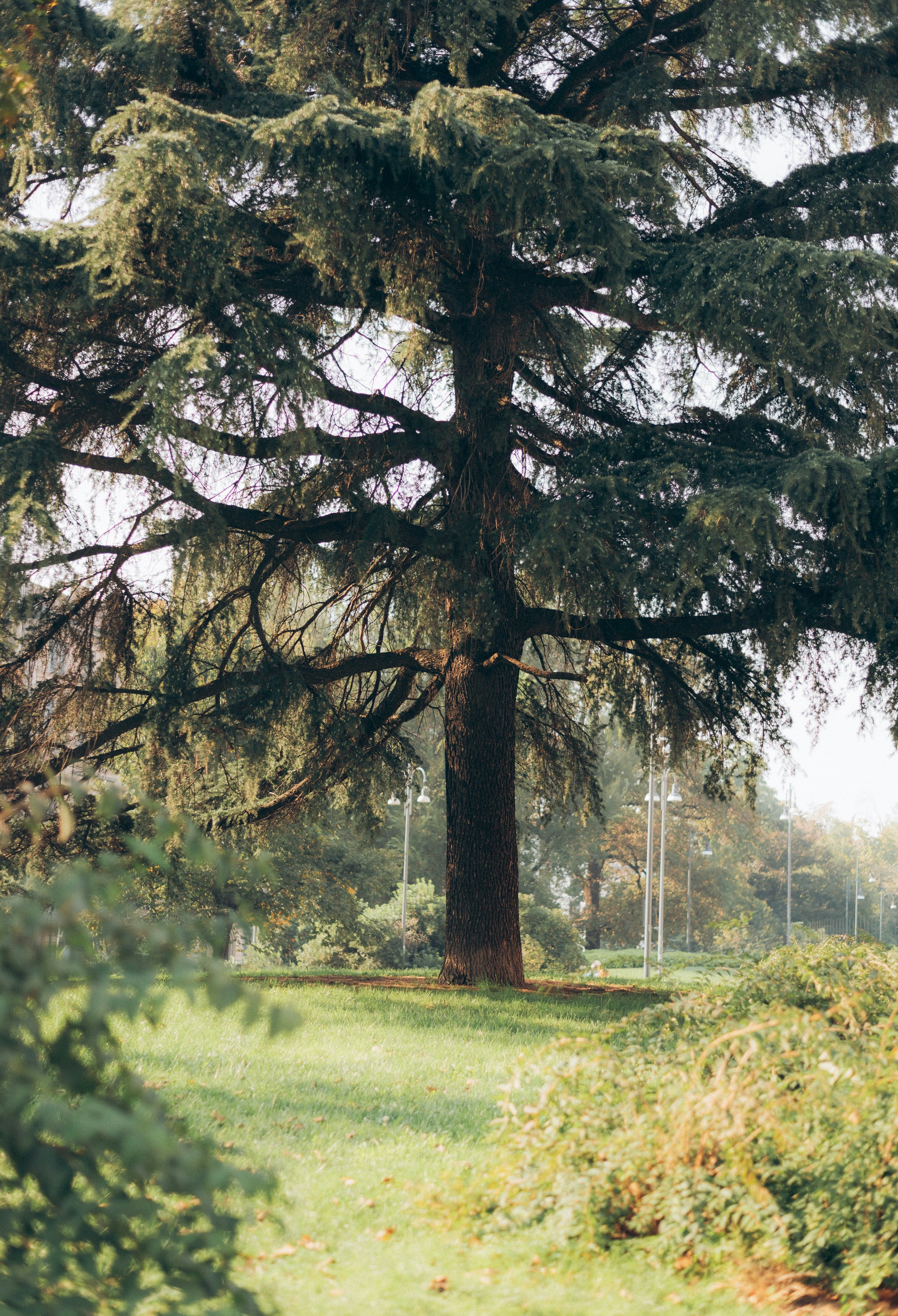 Photo by anamilanofoto