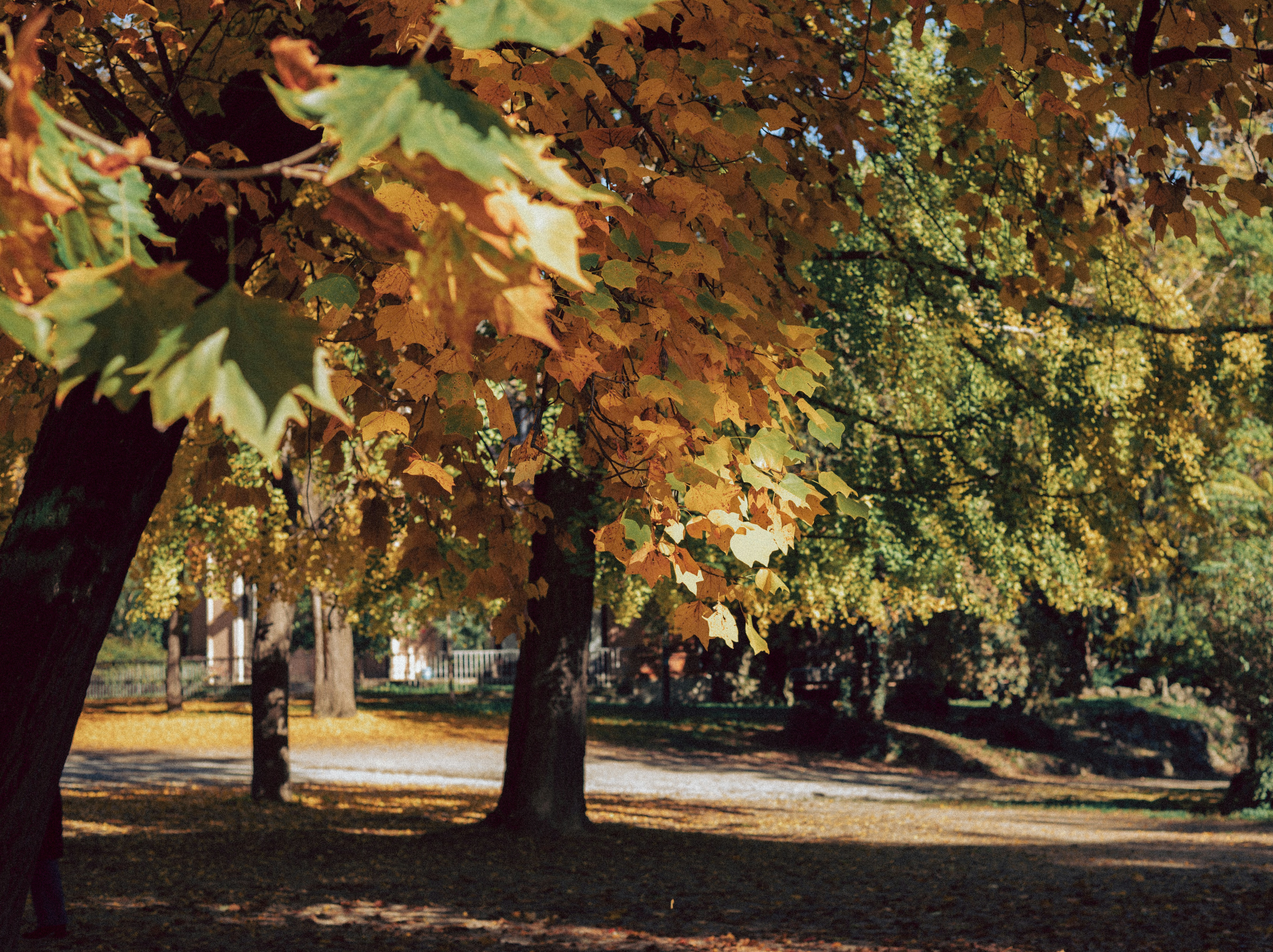 Photo by anamilanofoto