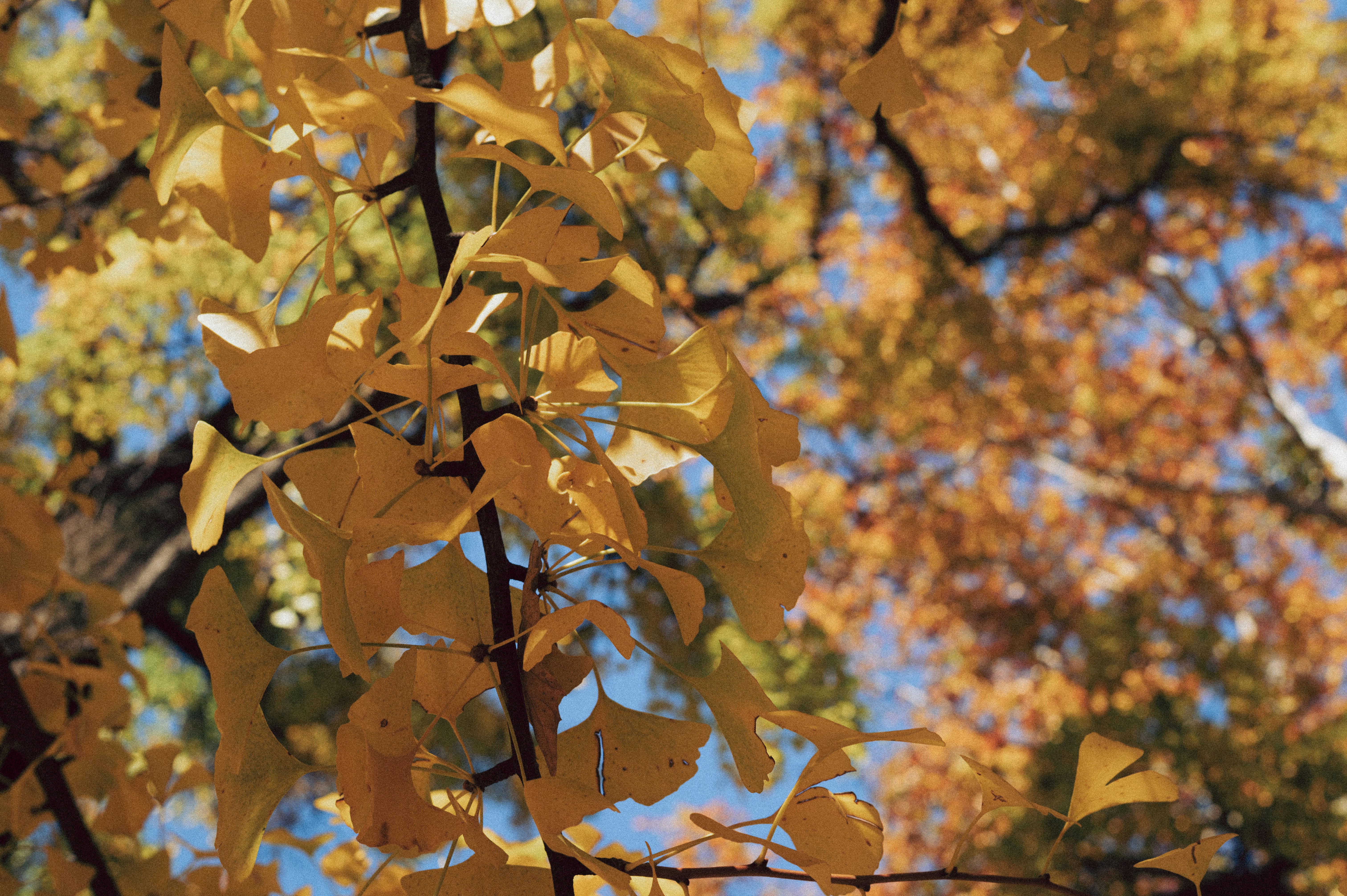 Photo by anamilanofoto